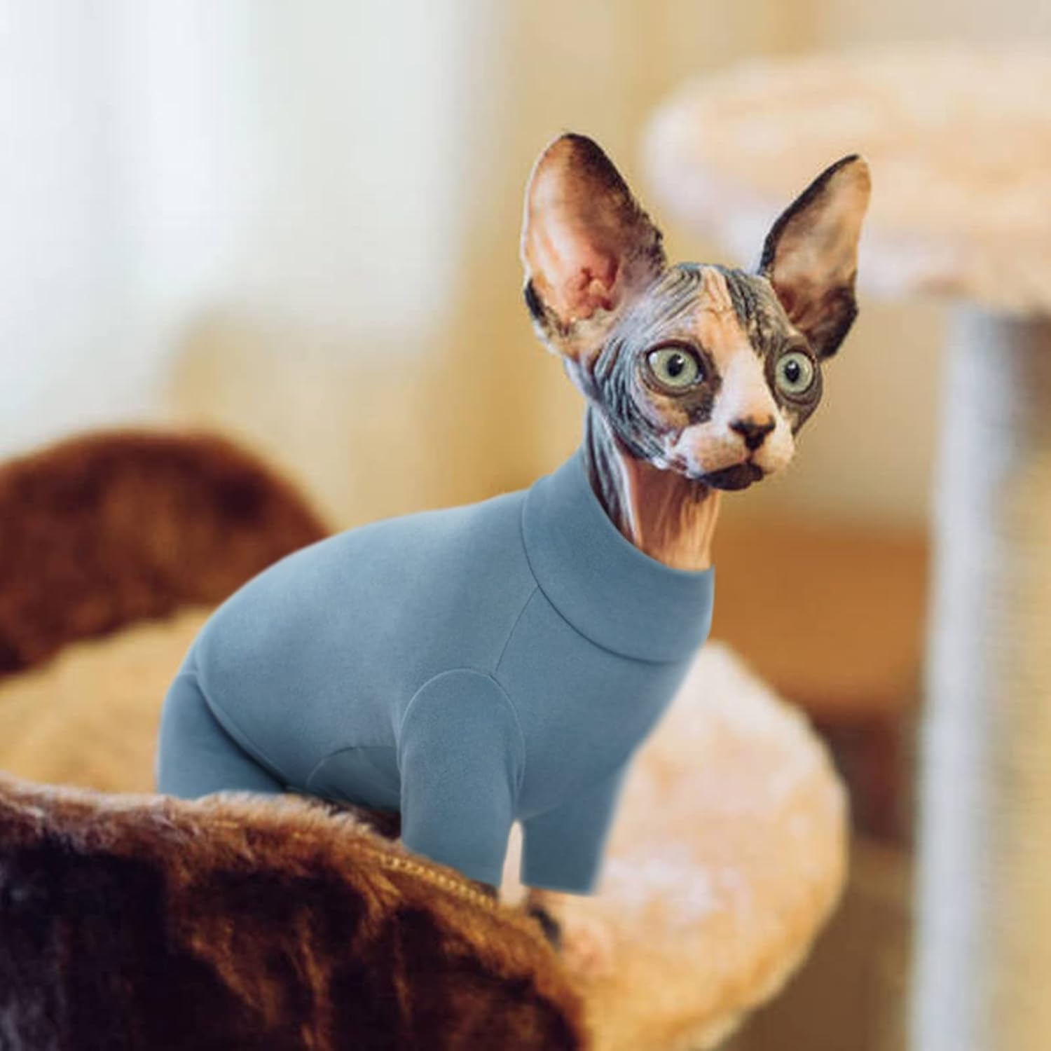 Hjyokuso Sphynx Cat Clothes, Breathable Soft Cat Jumpers for Cats Only, Cat Coat with Four Legs, Warm Cat Sweaters, Cat T-Shirt, Cat Pajamas Jumpsuit Vest for Sphynx, Cornish Rex, Devon Rex,Peterbald image number 4