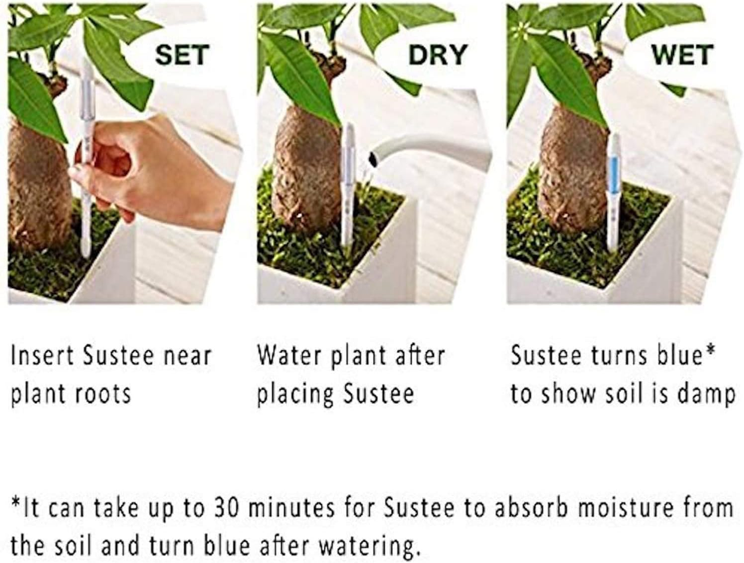 IPPINKA Sustee Aquameter, Set of 4, Plant Soil Moisture Sensor, (Green, Small) image number 1