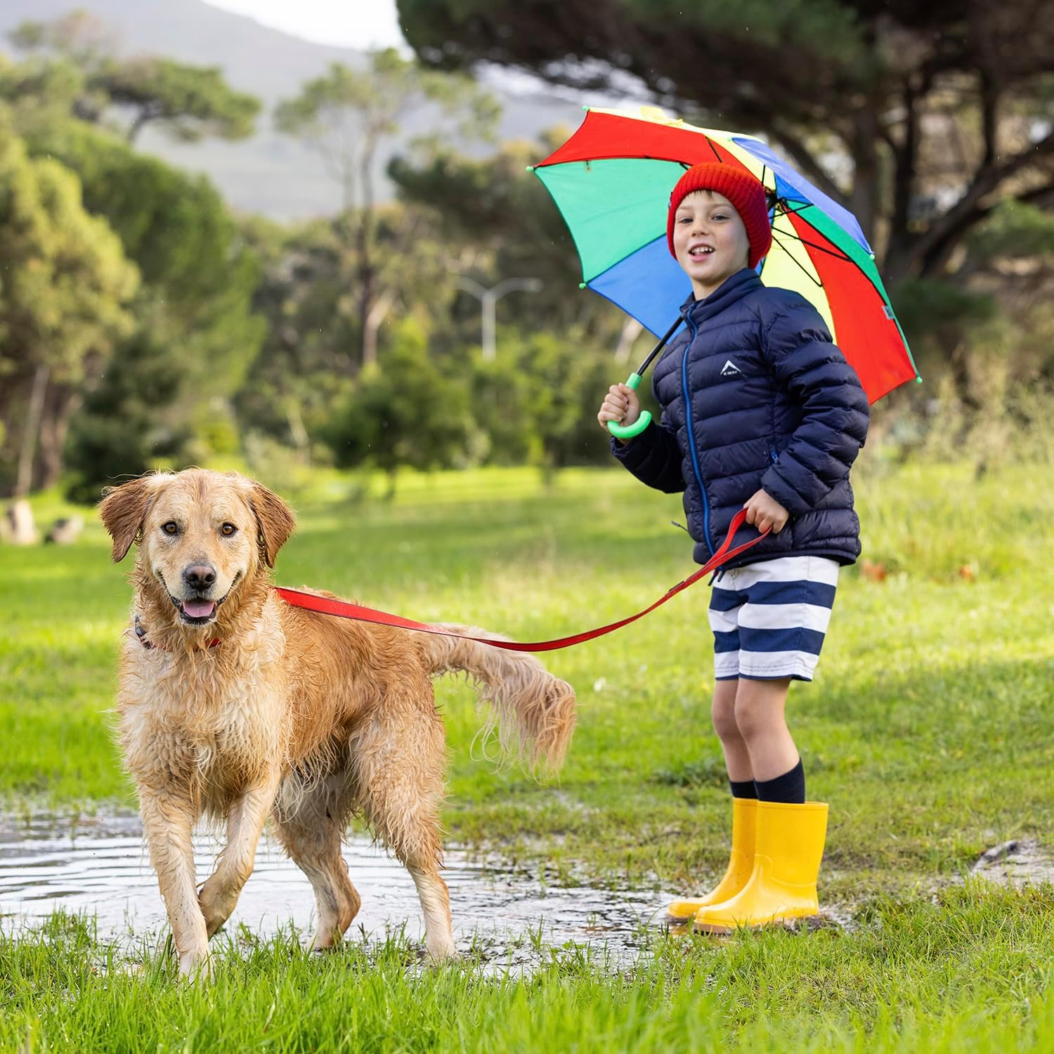 Rogz Amphibian Classic Dog Lead, Red, Large image number 4