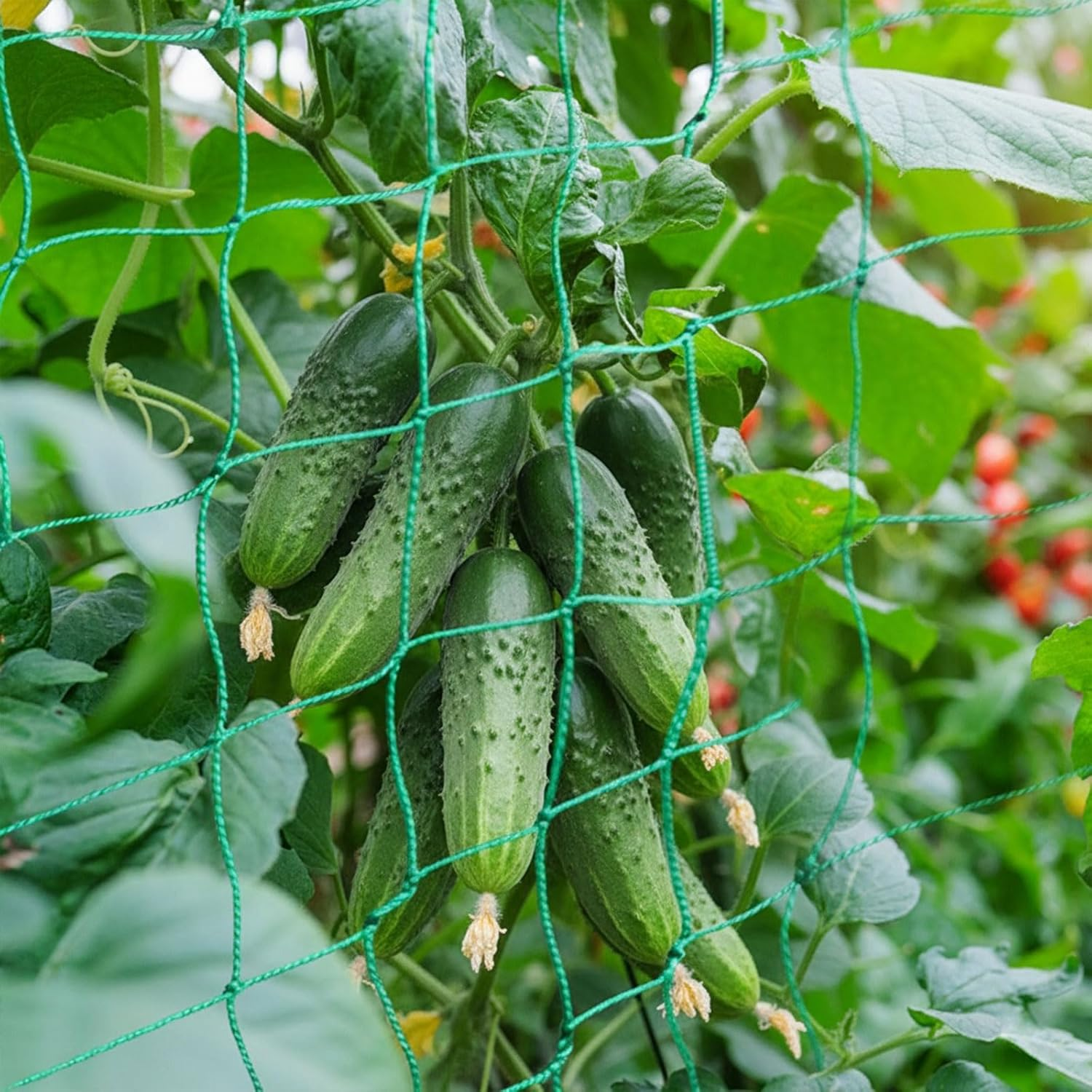 Heavy Duty Garden Trellis Netting for Climbing Plants &ndash; Durable Polyethylene (PE) Garden Netting Compatible with Cucumber, Bean and Tomato, Reusable Plant Support,Rectangular Netting by Ruibex image number 1