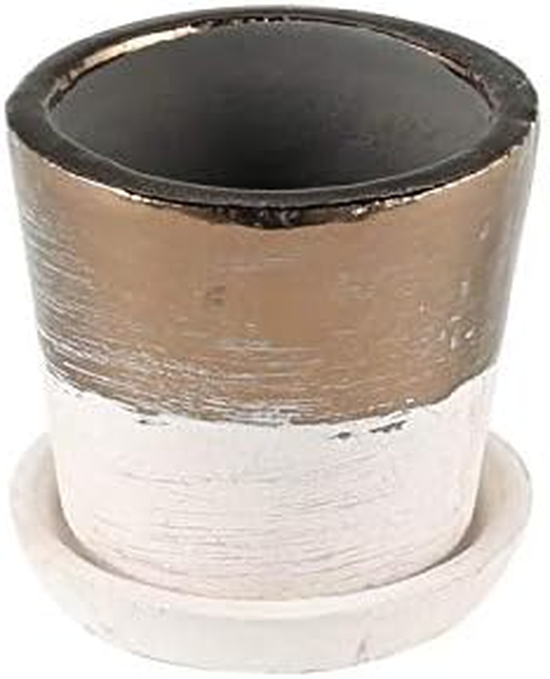 Dulton CH13-G476LGN Color Glazed Pot, Gardening Supplies, Color Lime Green, Size M, with Bottom Hole