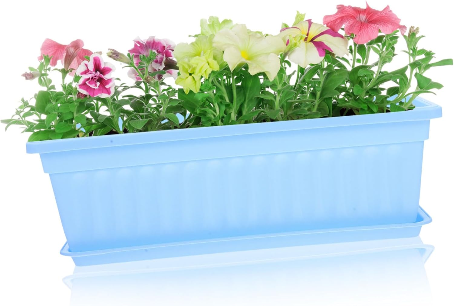 BCOATH 2Pcs Resin Plant Pots Saucer for Indoor Gardening and Orchid Shape for Balcony and Home Decor image number 5