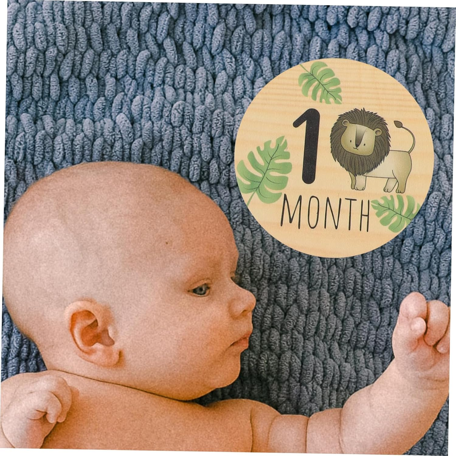 7Pcs Wooden Milestone Cards Month Announcement Signs Cute Animal Designs Photo Props for Newborn Capturing image number 6