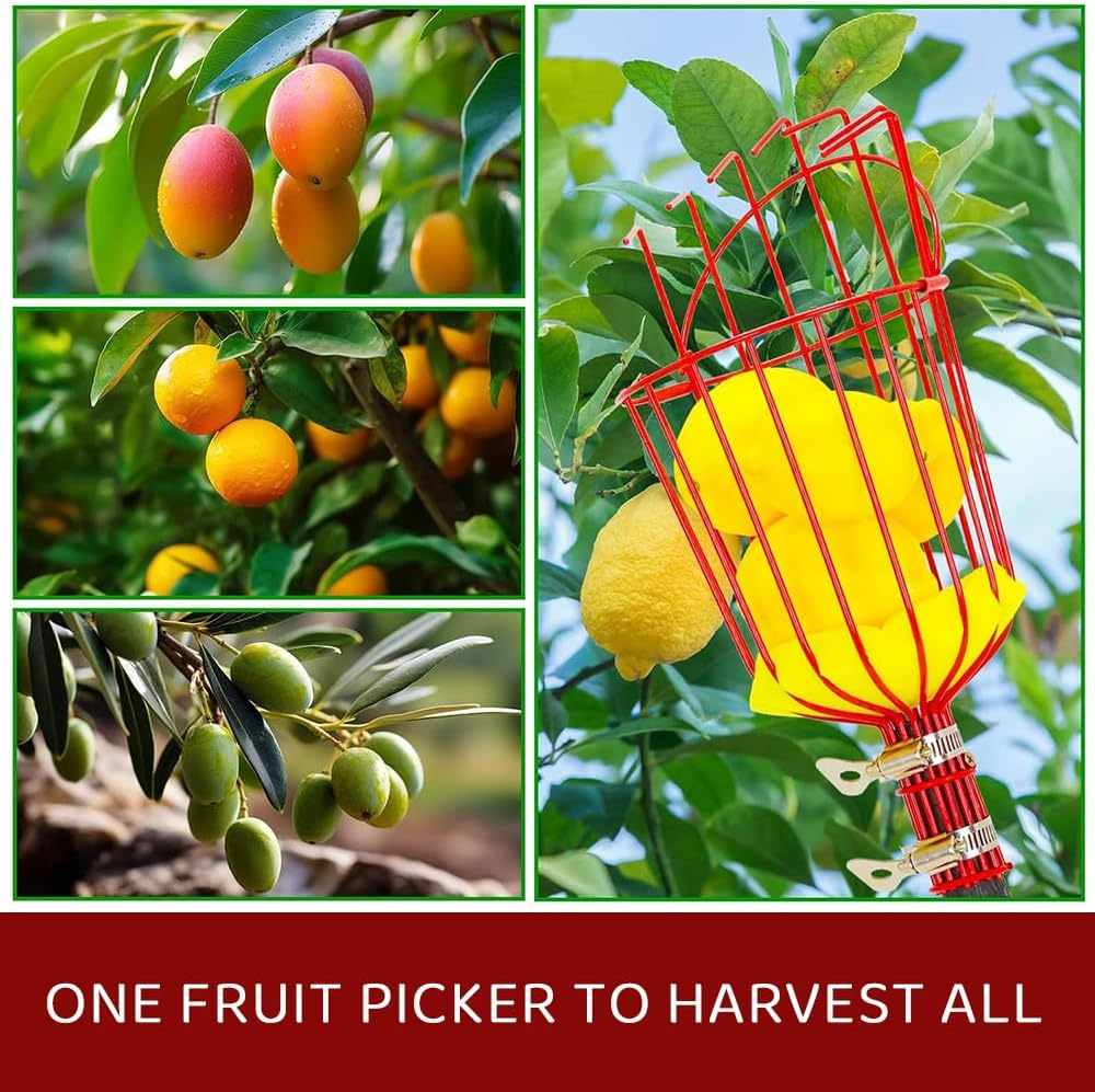 2-Pack Fruit Picker Head &ndash; Durable Harvesting Tool with Foam Cushion for Easy Fruit Picking &ndash; Ideal for Oranges, Avocados, Apples & More (Rod Not Included, Red) image number 4