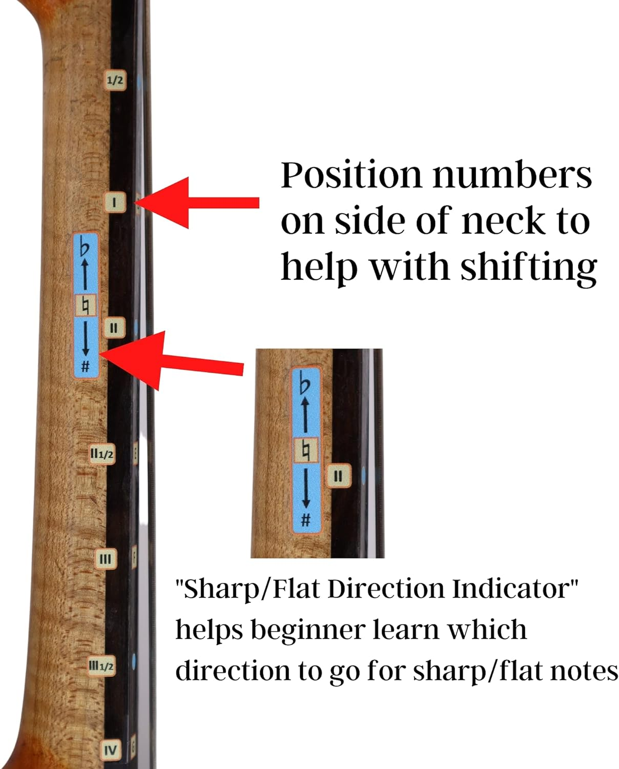 Fantastic Finger Guide for Cellos - Music Accessories for String Instruments, Fingerboard and Fretboard Stickers for Learning All Notes, Learn to Play Cello, 4/4 Size