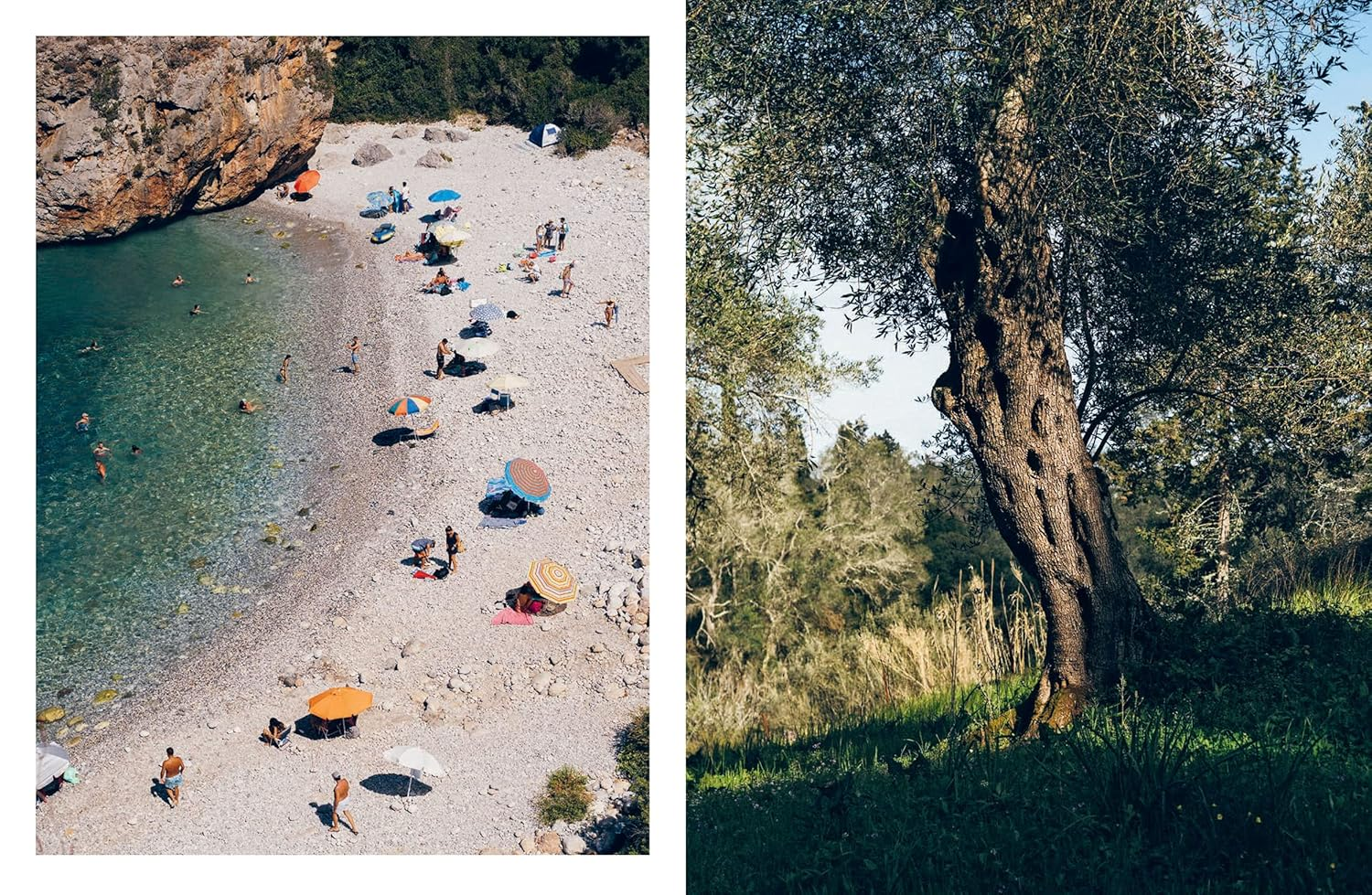 Yiayia: Time-Perfected Recipes from Greece&rsquo;S Grandmothers image number 4