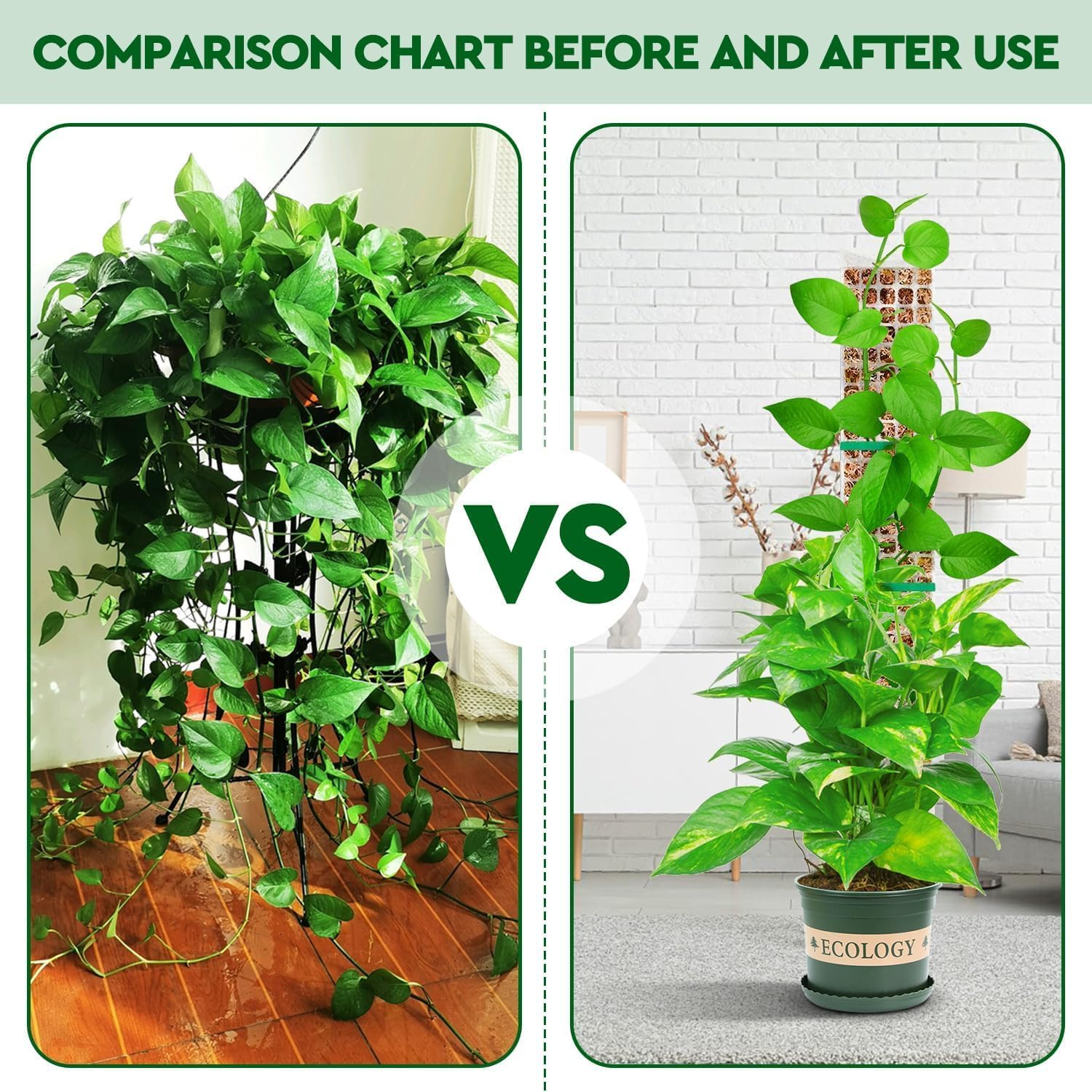 4 PCS 24 Inch Plastic Moss Pole for Monstera & Climbing Plants, Sphagnum Moss Plant Support, Indoor Plant Stake For, Stackable Plant Support for Indoor Plants, with Ribbon Strong and Durabl image number 6