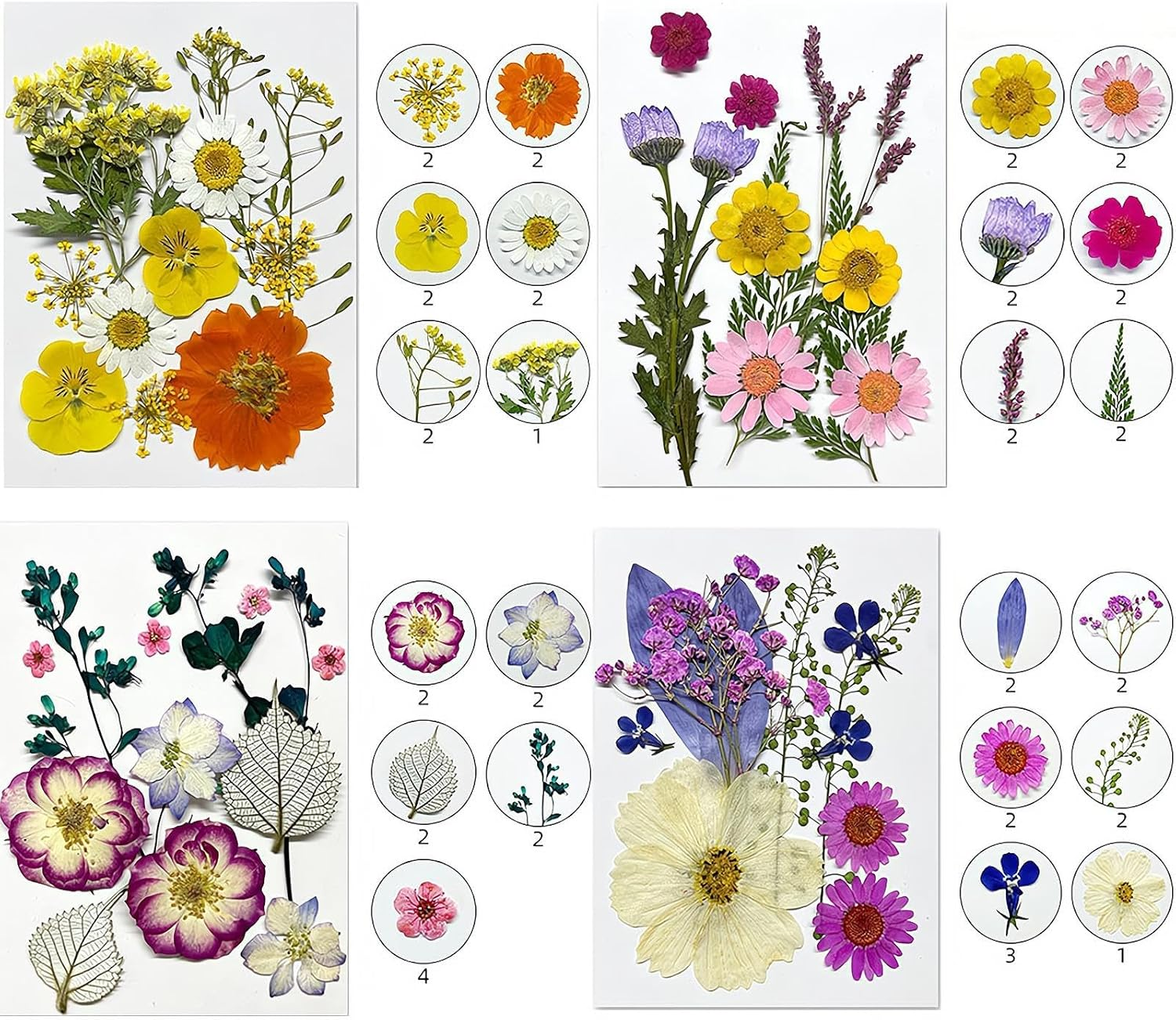 REGODI 96Pcs（8 Sheets） Dried Pressed Flowers & Leaves for Crafts - Natural Dry Flowers for Resin Art, DIY Jewelry, Candle & Soap Molds, Phone Case Decor (Pressed Flowers, Dried Flowers Crafts) image number 5