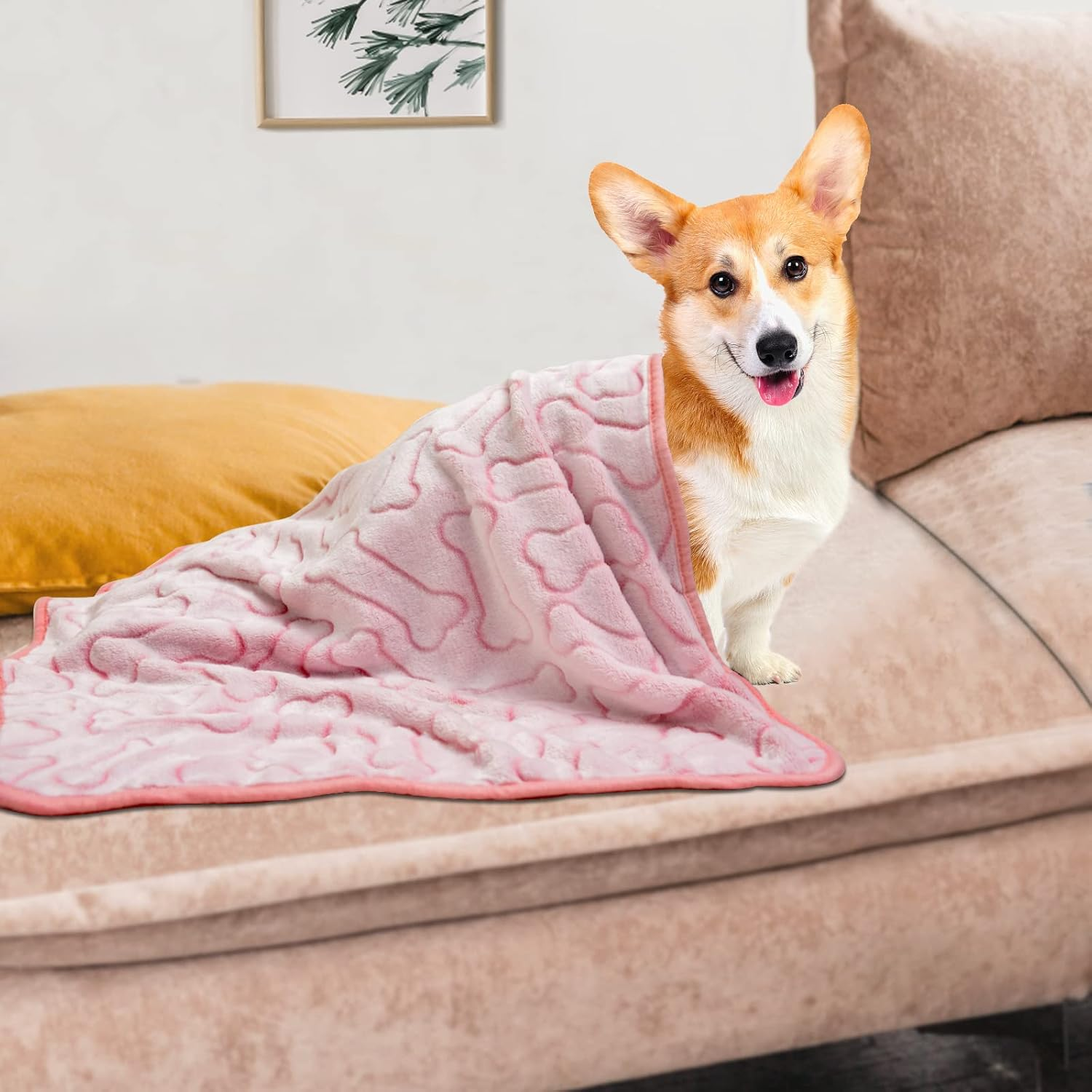 Gorgelly 1 Pack of 3 Dog Blankets, Soft Pet Blanket, Washable, Cuddly Blanket, Fluffy for Small, Medium Dogs, Cats, Sofa Protector for Dogs, Dog Blanket for Travel, 60 X 50 Cm image number 4