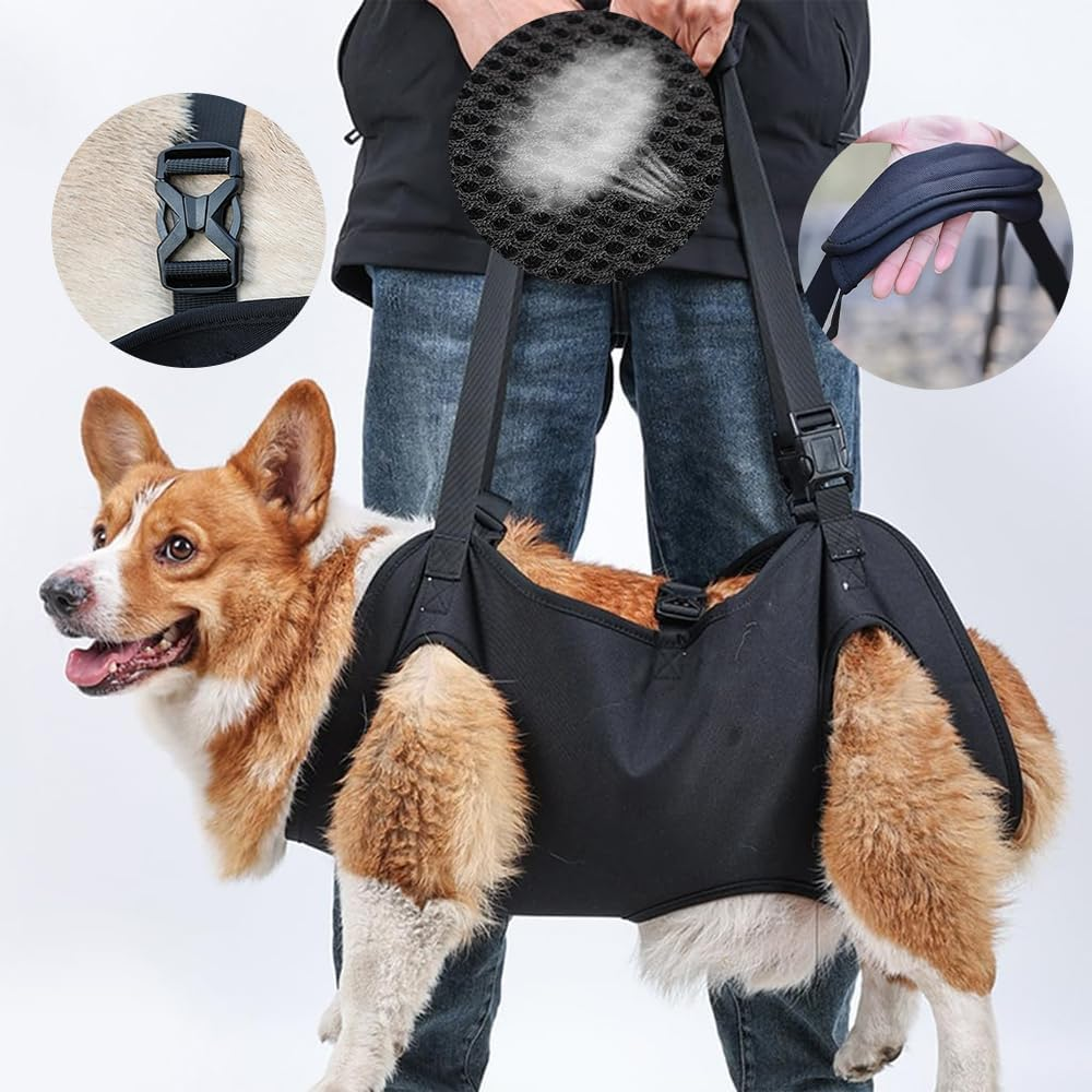 Dog Rehabilitation Training Belt, Breathable Straps - Adjustable Soft Support Sling, Helps with Surgery Recovery, Arthritis, Joint Injuries, Loss of Stability, Injured and Disabled Dogs image number 1