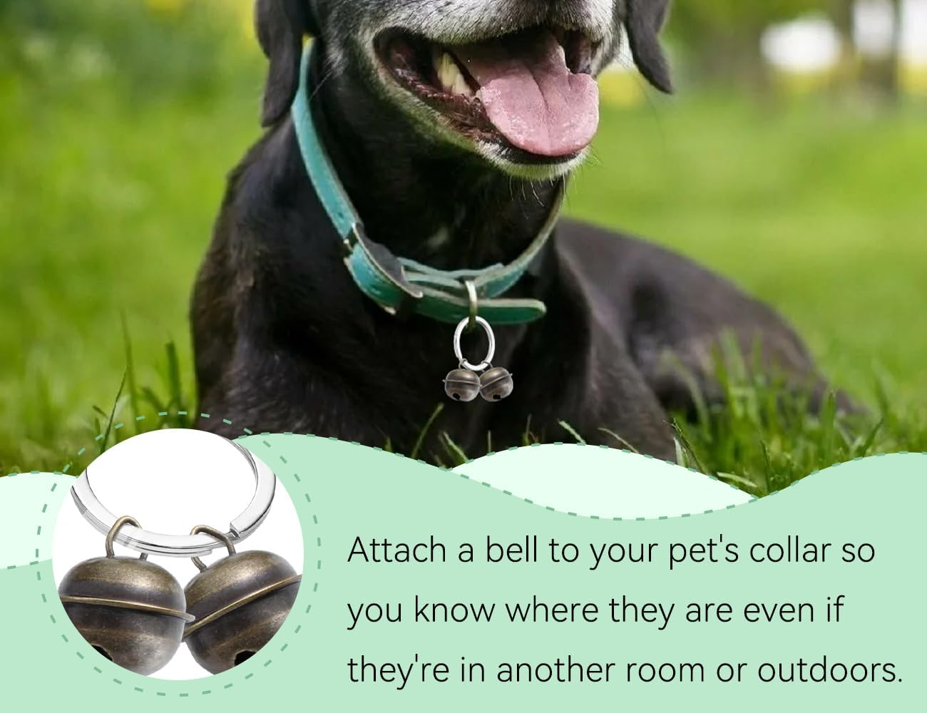 AOYEGIC Pack of 8 Bells, Loud Cat Dog Bell, Collar for Bell, Cats, Pets, Tracker Pendant for Training, with 4 Pieces Key Ring Pet image number 5
