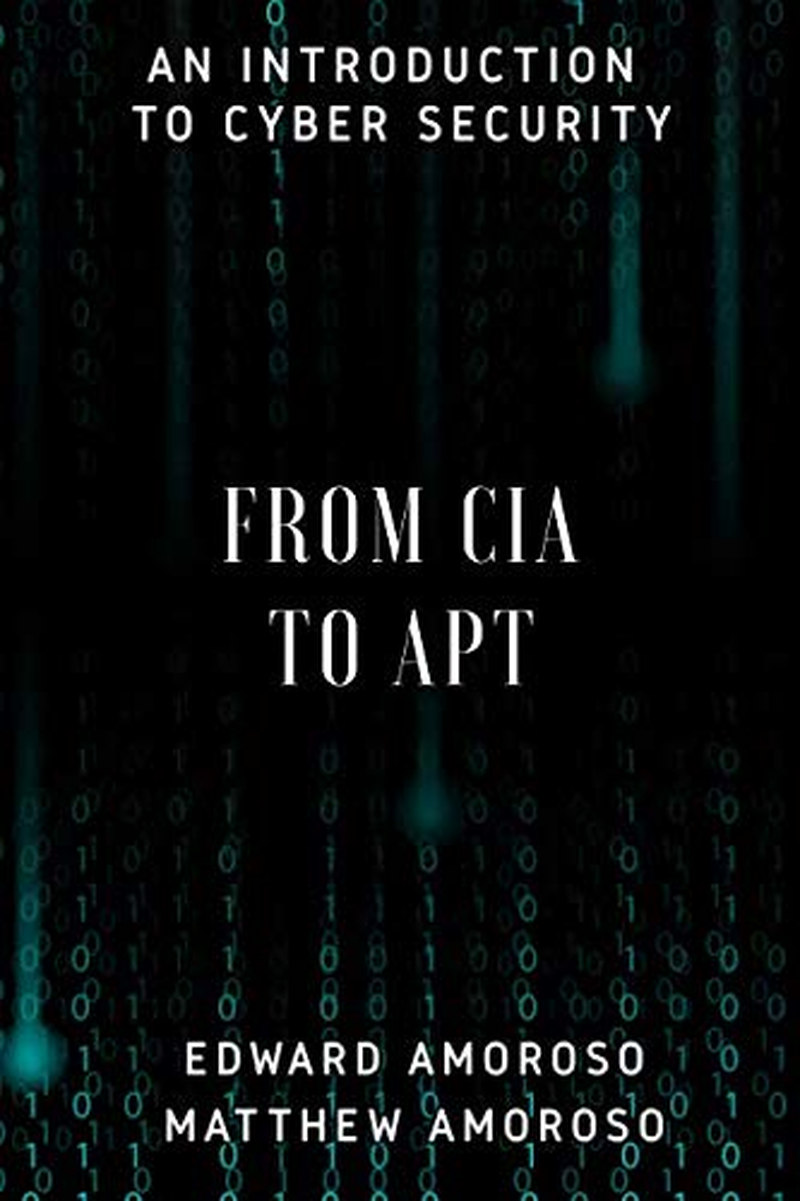 From CIA to APT: an Introduction to Cyber Security image number 1