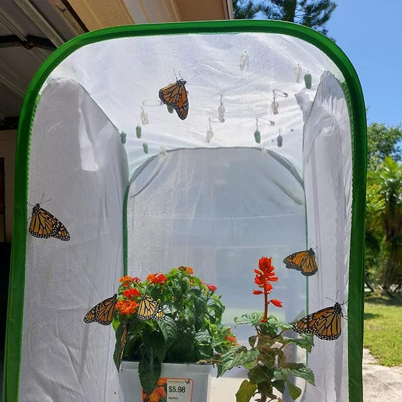 Insect and Butterfly Habitat Cage &ndash; Foldable Mesh Butterfly Cage with Clear View 6 Panels, Durable Breeding Habitat for Kids Garden Science Education, 40X40X60Cm (40X40X60Cm) image number 6
