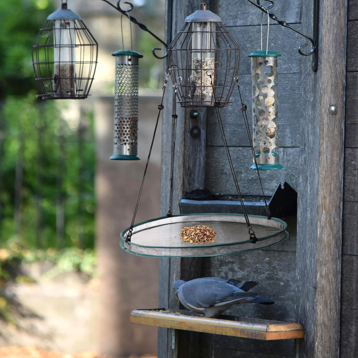 Lyreh 2 Pcs Bird Seed Shell Trays with 8 Pcs Hooks, Hanging Bird Seed Tray Holder Platform Feeder for Attracting Birds Outdoors Backyard Home Garden image number 5