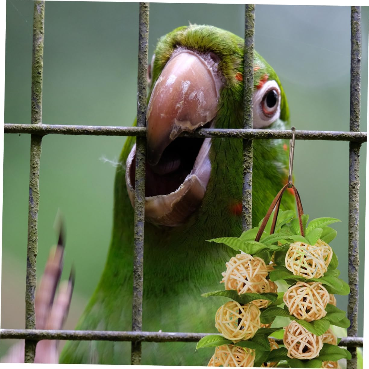Ipetboom Toys for Birds Hanging Rattan Ball Bird Bird Plaything Pet Chewing Supplies image number 2