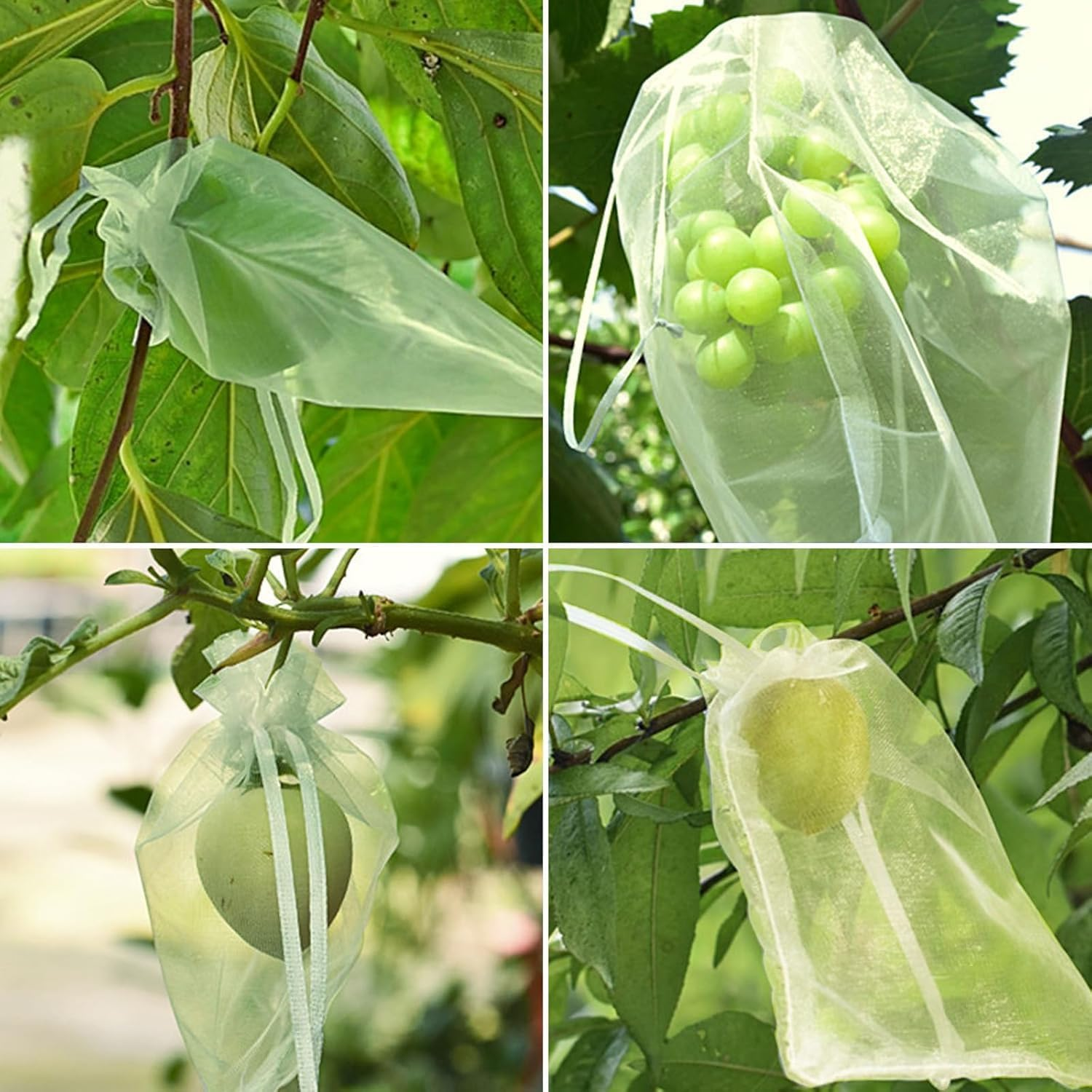 100Pcs Fruit Protection Bags 6X8 Inch,Netting Cover Bags with Drawstring,Organza Fruit Netting Bags,Garden Plant Fruit Protectors Pest Barrier Bag for Mangoes Tomatoes Fruit Trees Veggies (Green) image number 2