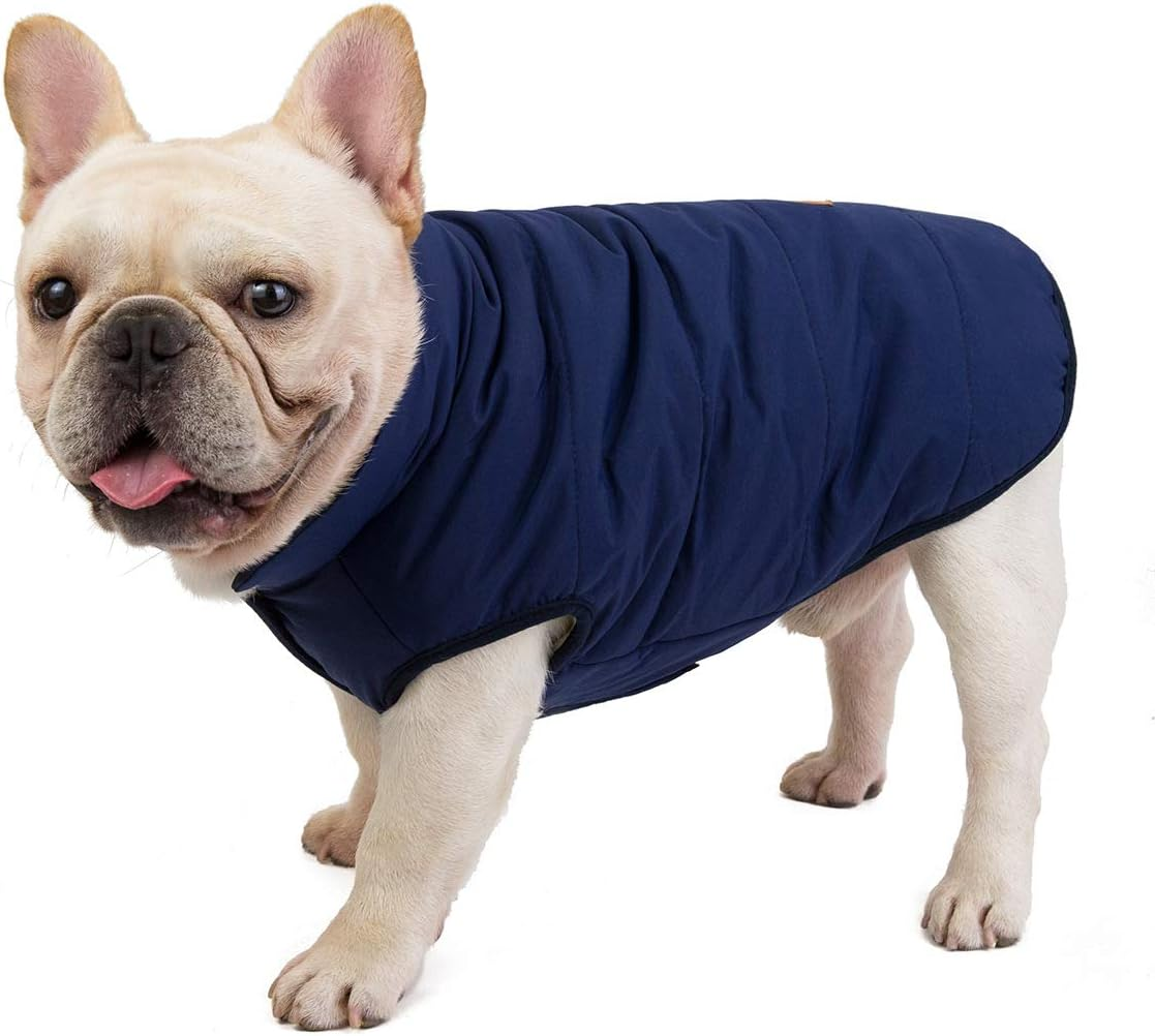 Izefia Dog Coat Cold Weather Coat Windproof Jacket Fleece Warm Dog Vest Winter Thick Clothes Dog Coat for Small Dog Bulldog Medium Cat 1C-Green S