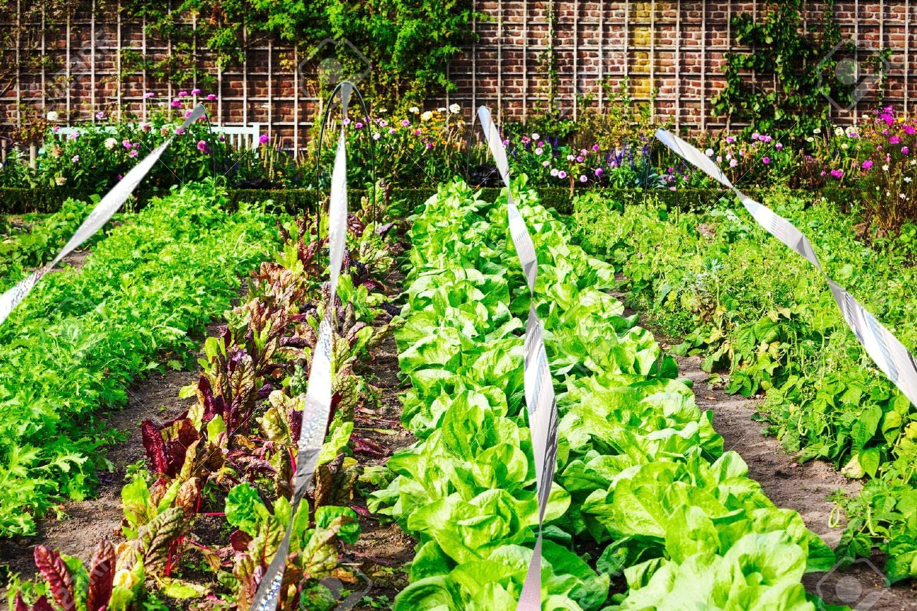 Bird Repellent Scare Tape - 2In X 330Ft Reflective Bird Deterrent Ribbon Scarer Repeller Flash Tape, Keep Birds Away image number 1