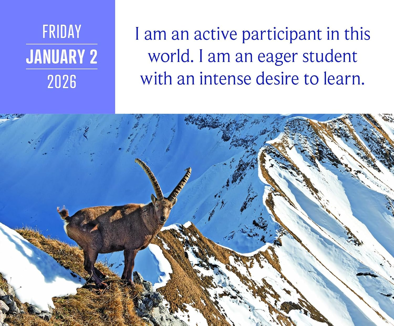 I Can Do It Calendar 2026: 365 Daily Affirmations image number 1