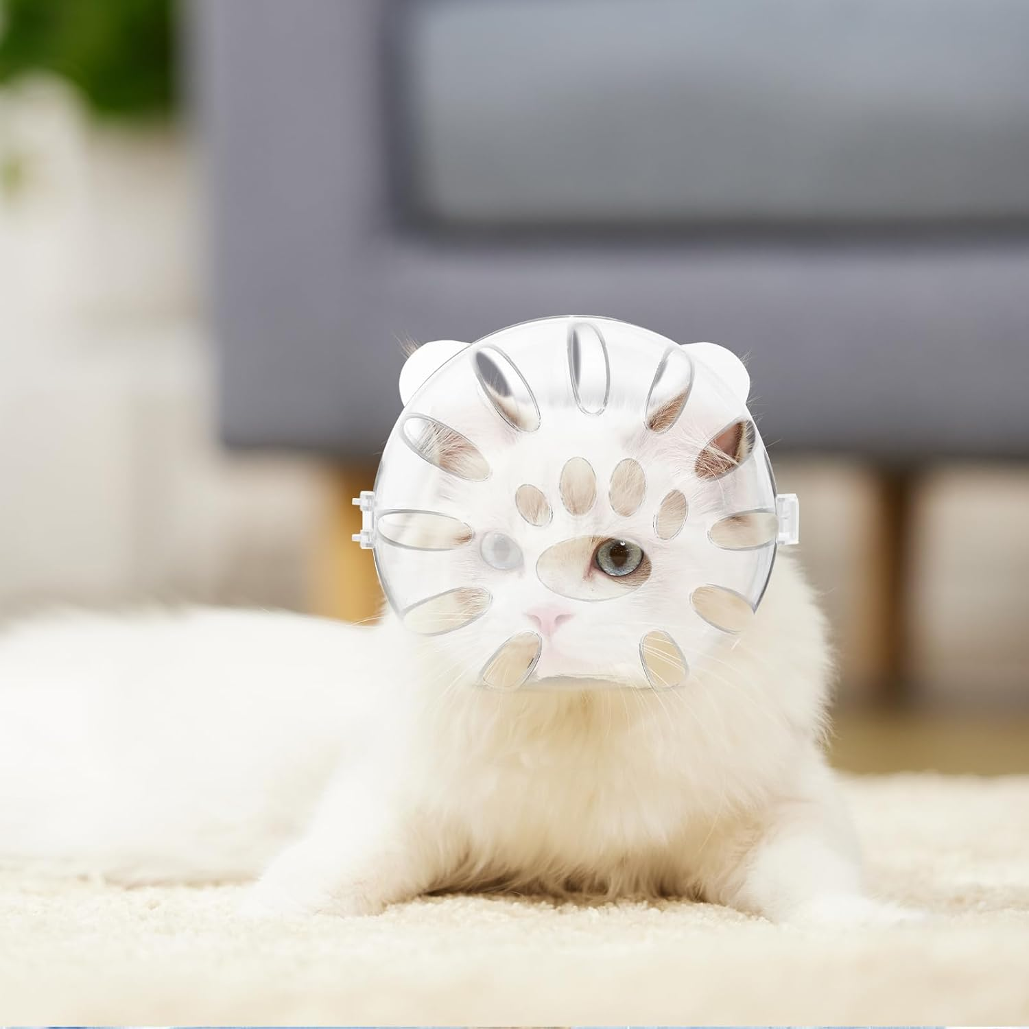 Mipcase 1 Set Cat Muzzles for Biting Bath Accessories for Cats Transparent Cat Face Protection Mouth Guard for Cats Muzzle for Pets Cat Helmet round Cat Accessories Silica Gel image number 5