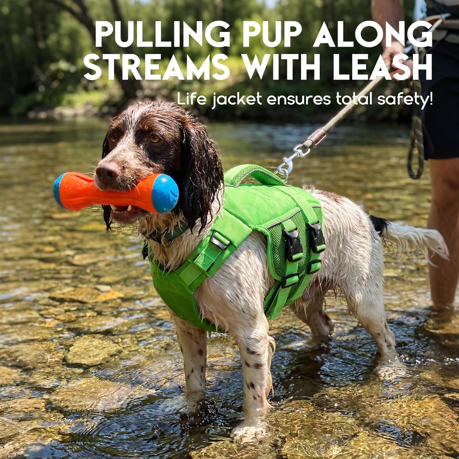 ASENKU Dog Life Jacket - Pet Safety Vest for Swimming & Boating, Shark Life Jacket with Floatation, Dog Lifesavers Swimsuits for Small Medium Large Dogs (Green, XS) image number 4