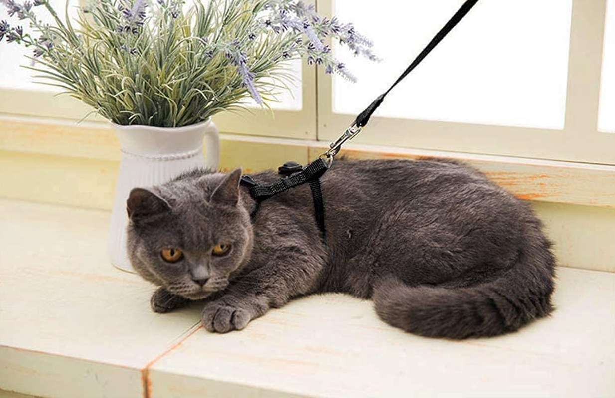 Cat Harness with Lead, Escape Proof Harness Soft Adjustable Nylon Leash Leash Set for Cat Kitten Small Pet Walking (Black) image number 4