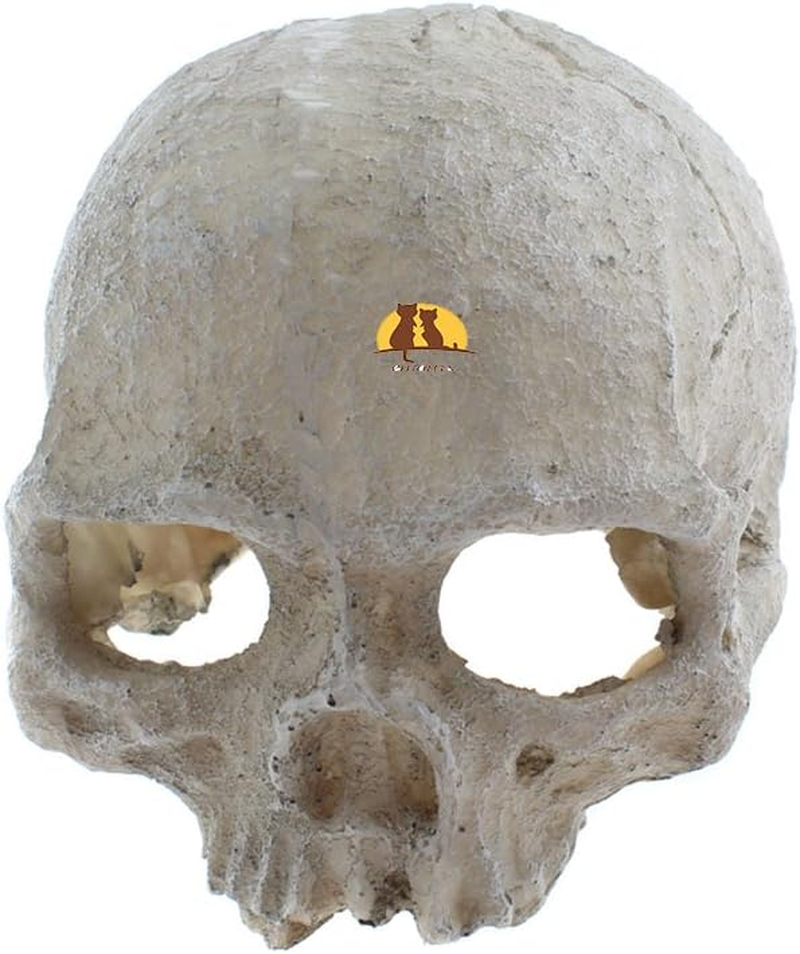 Emours Reptile Hideout Skull Vivarium Aquarium Fish Tank Resin Ornament Cave Decoration