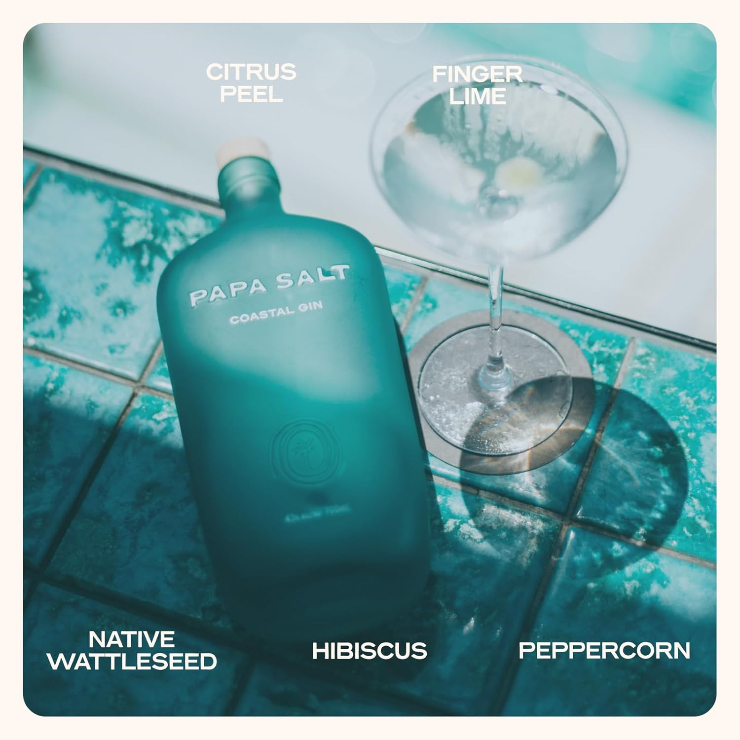 Papa Salt Coastal Gin 700Ml image number 3