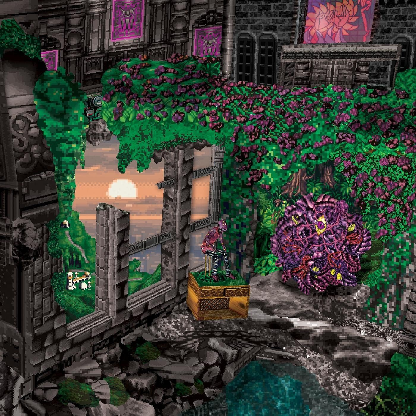 Rhododendron Rhododendron