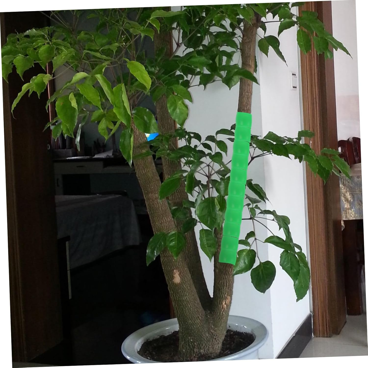 2Pcs Outdoor Tree Trunk Tubes Tree Wrap Protectors Trunk Guards for Saplings Fruit image number 3