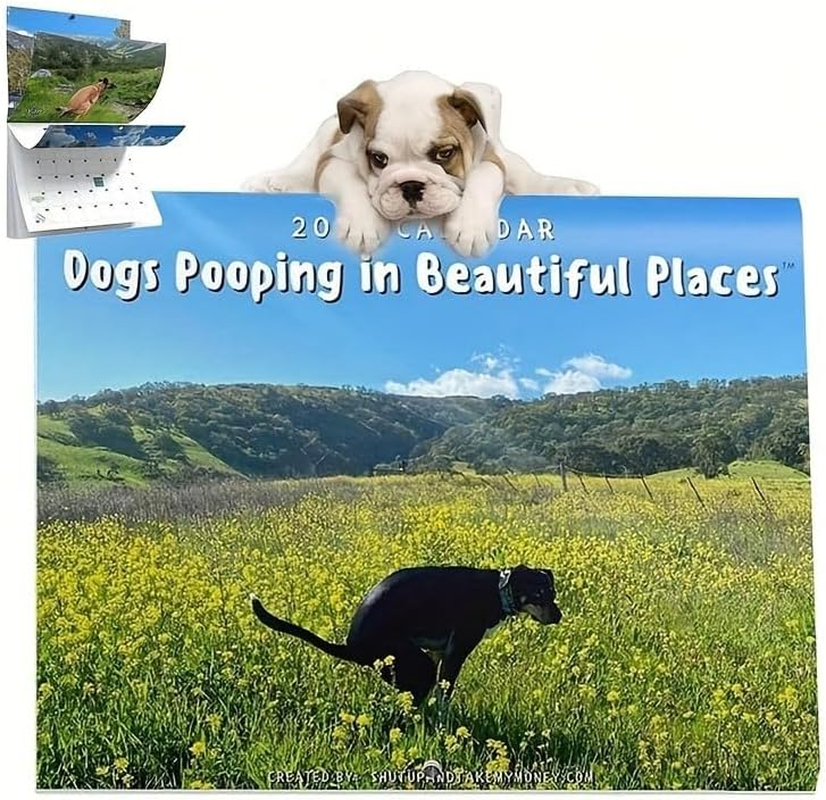 2025 Dogs Pooping in Beautiful Places Wall Calendar - Laminated, Everyday View, Humorous Canine Defecation in Scenic Settings, Monthly Grid Pages, Full-Year Planner image number 1