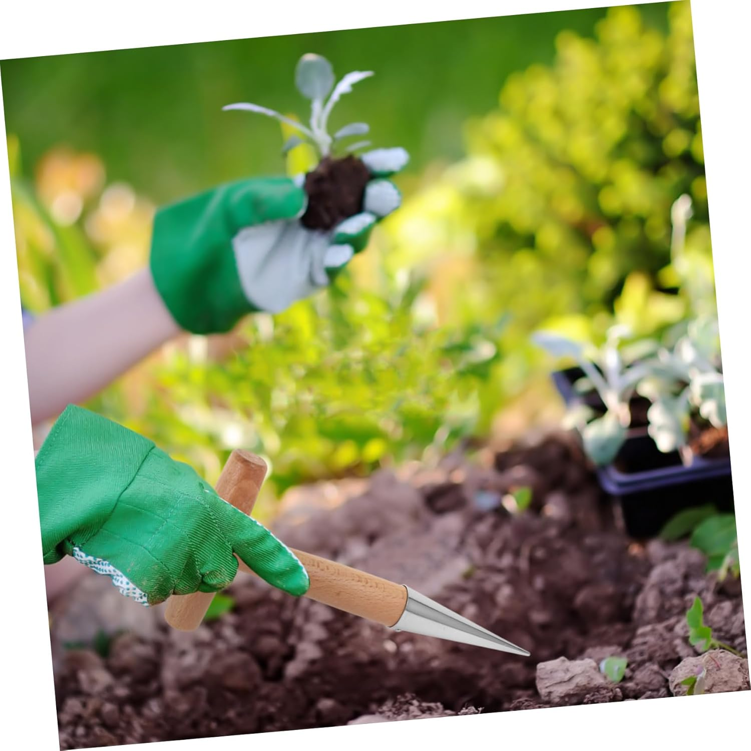Operitacx 2Pcs Garden Planting Dibber with Handle for Precise Hole Punching Safe Polished Surface for Succulent and Vegetable Cultivation Easy Transplanting Tool for Gardeners image number 5