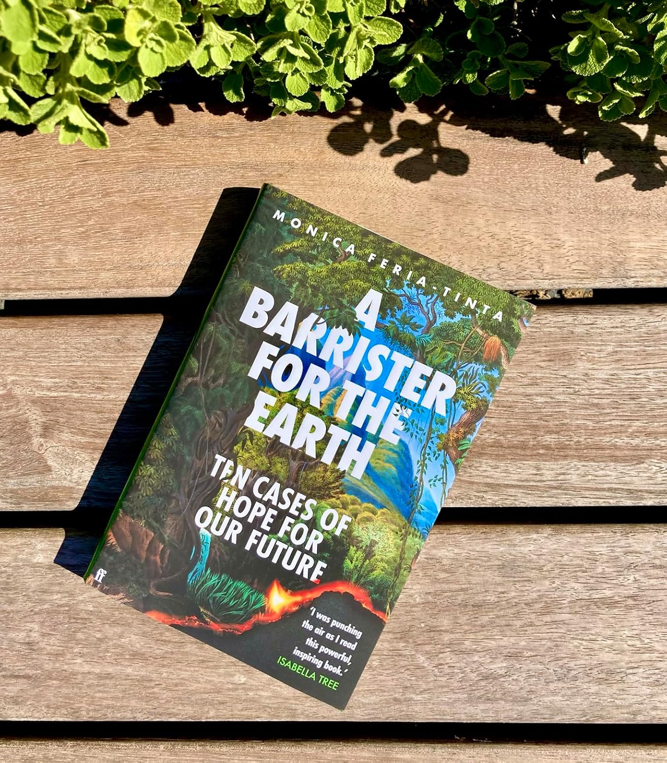 A Barrister for the Earth: Ten Cases of Hope for Our Future