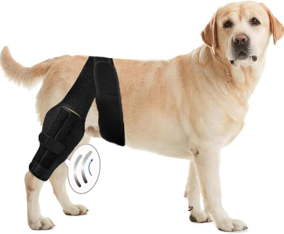 Dog Knee Brace for ACL, CCL, Luxating Patella, and Hind Leg Support - Best Brace for Torn ACL, Ligament Injury, Hip Support, and Recovery - Knee Braces for Dogs (XS, Black)