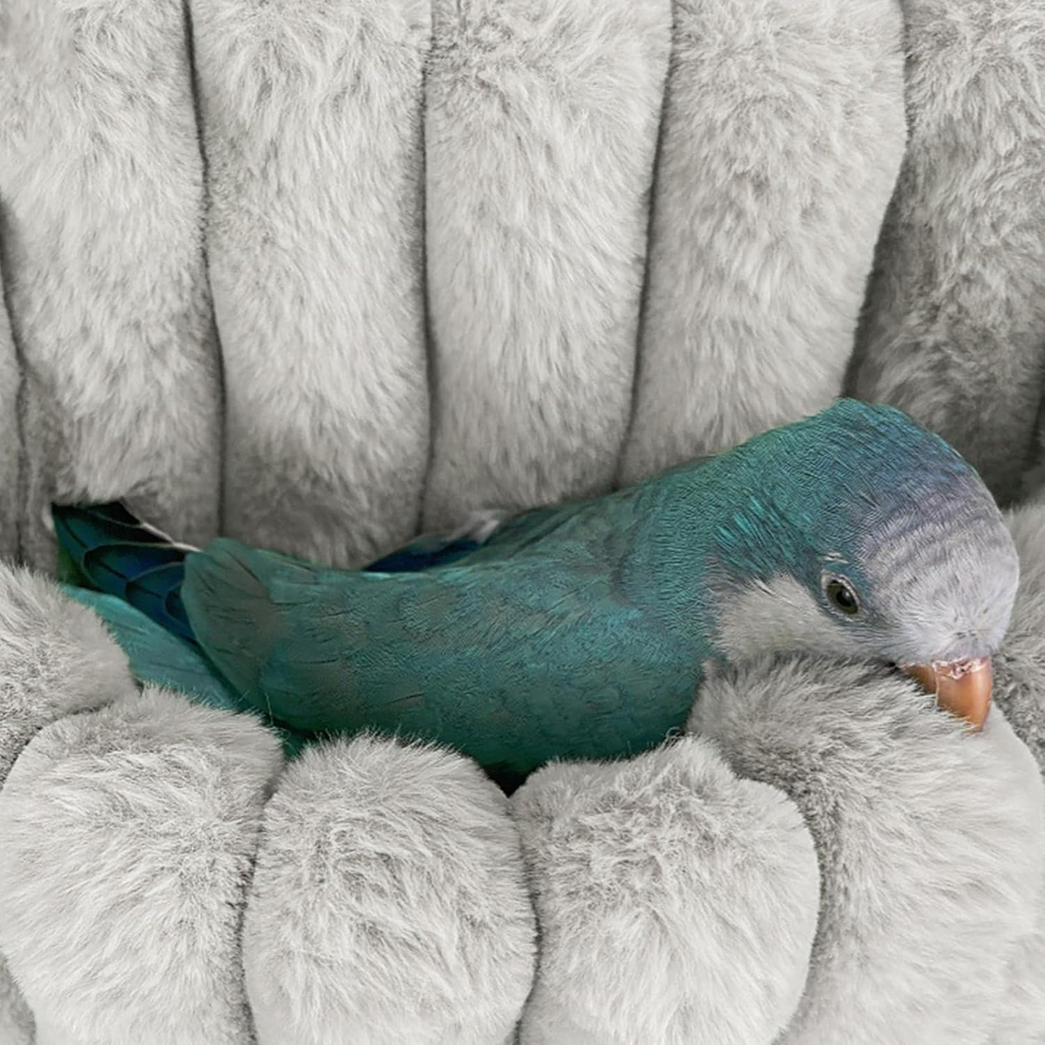 Yanmucy Bird Nests for Cages Waterproof Plush Winter Bird Hammock Hanging Warm Parrot Bed Cozy Corner Parrot House Tent for Sleeping Playing (Blue, Medium) image number 5