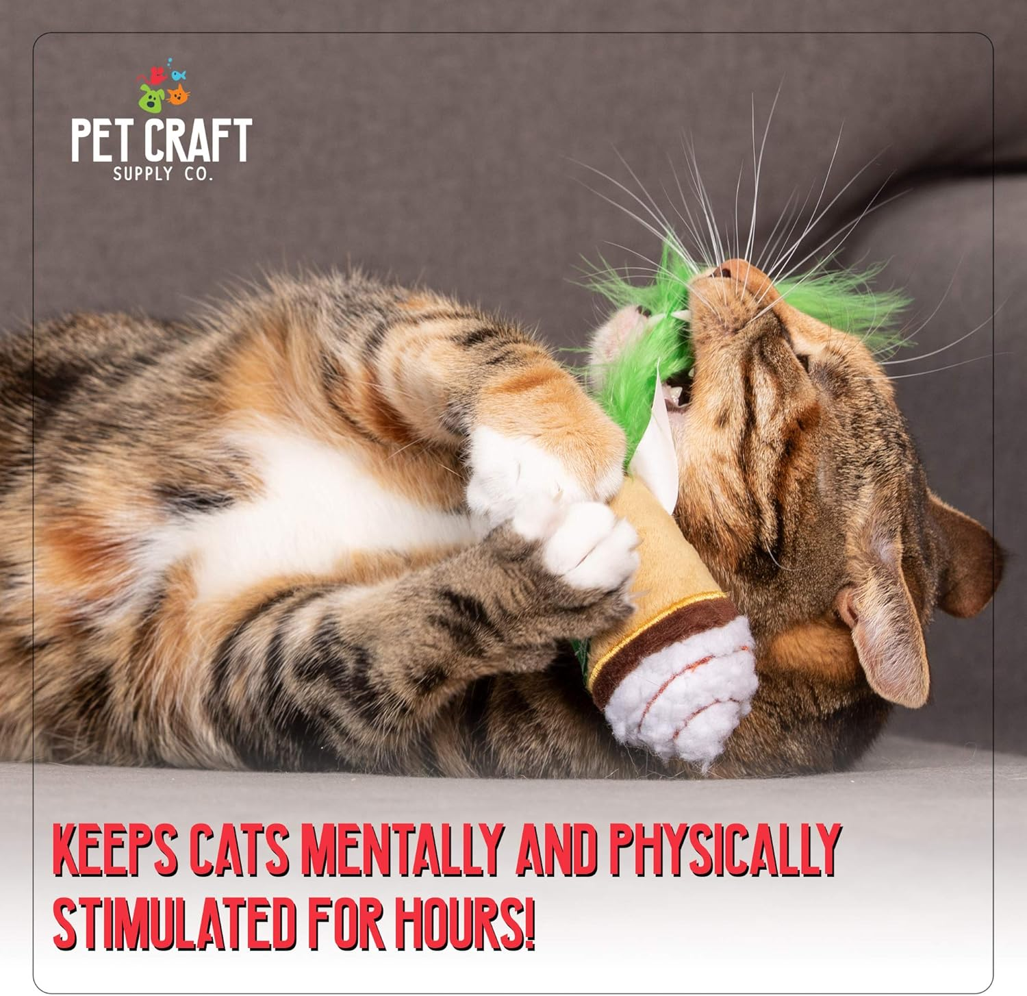 Pet Craft Supply Silly Snacks and Funny Food Crinkle Cuddling Catnip and Silvervine Interactive Cat Toys - Great for Indoor Cats, Kittens or Medium Breeds image number 3