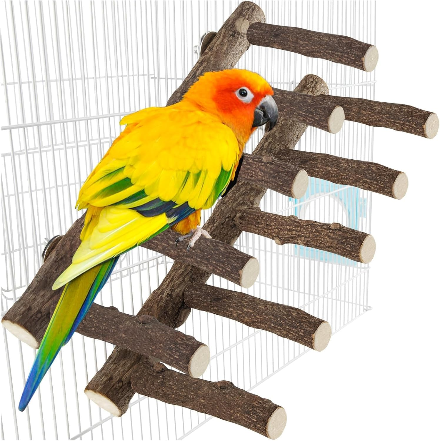 2Pcs Natural Bird Ladder for Small Medium Parrot, Conures, Hamsters, Parakeets, Cockatiels - 12.2Inch Length Parrot Perch image number 3