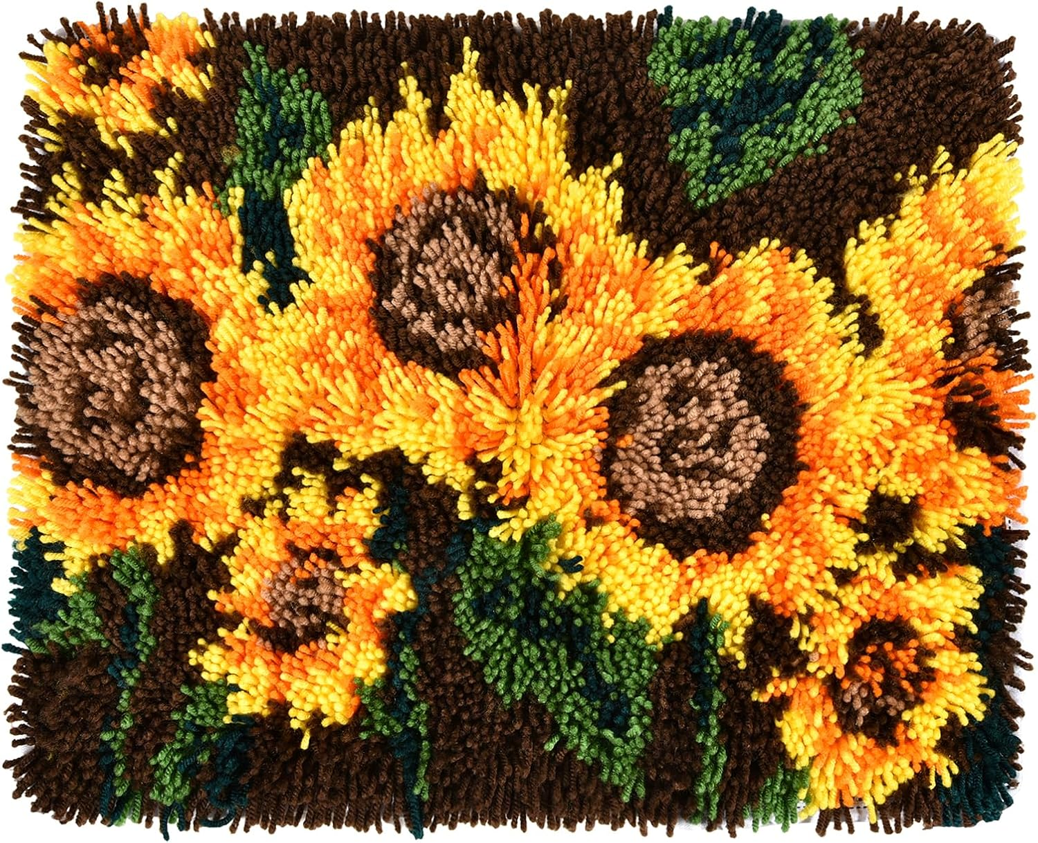 Gift2U Latch Hook Rug Kit for Adults Beginner, 3D Raccoon DIY Handmade Crochet Yarn Kit Animal Pattern Paint Embroidery Cushion for Home Decoration, 20X15 Inch