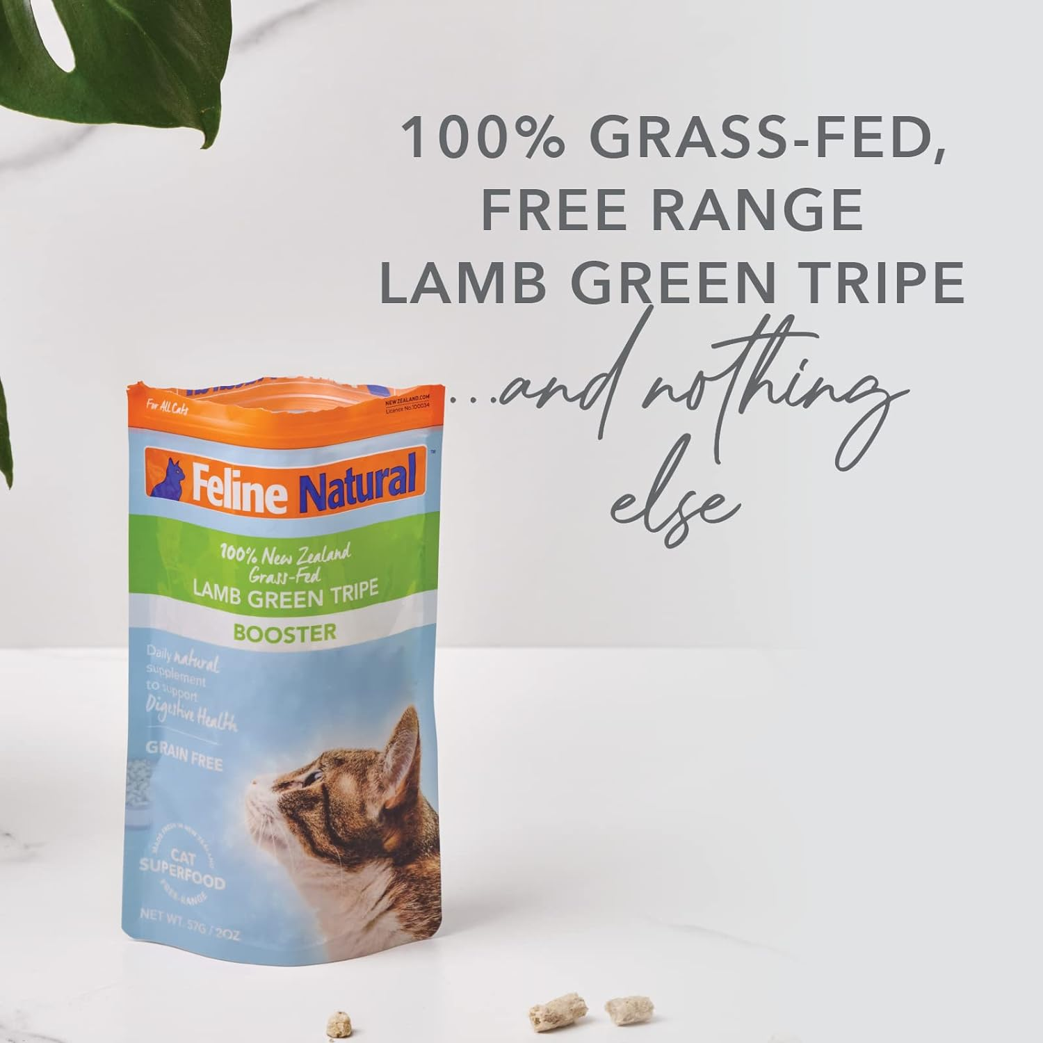 Feline Natural Grain-Free Freeze-Dried Cat Food Supplement (Lamb Tripe)