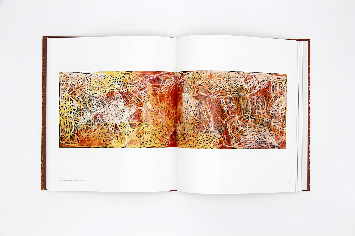 Emily Kam Kngwarray image number 4