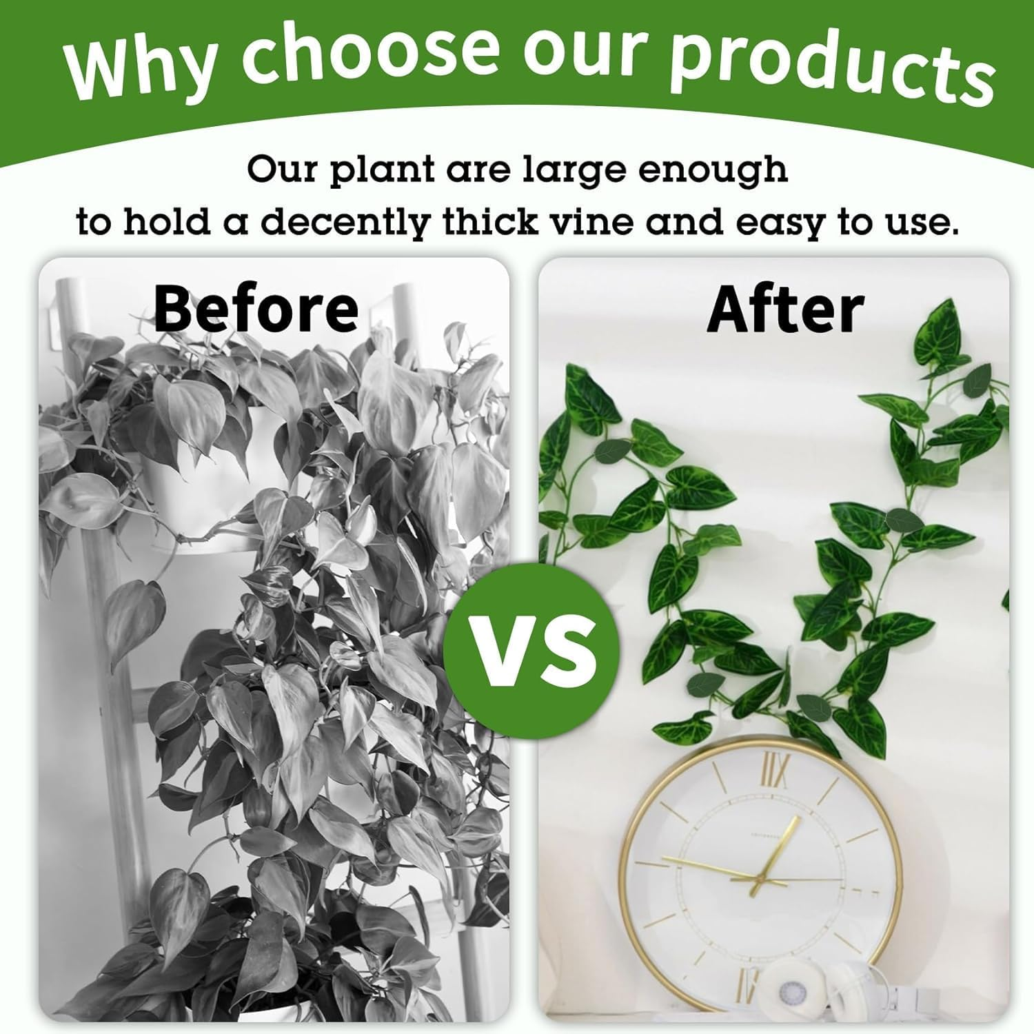 Plant Clips for Climbing Plants Outdoor Plant Hangers Indoor Plant Support Clips Plant Hangers Garden Clips for Plants Hooks Self Adhesive Tomato Clips 40Pcs image number 6