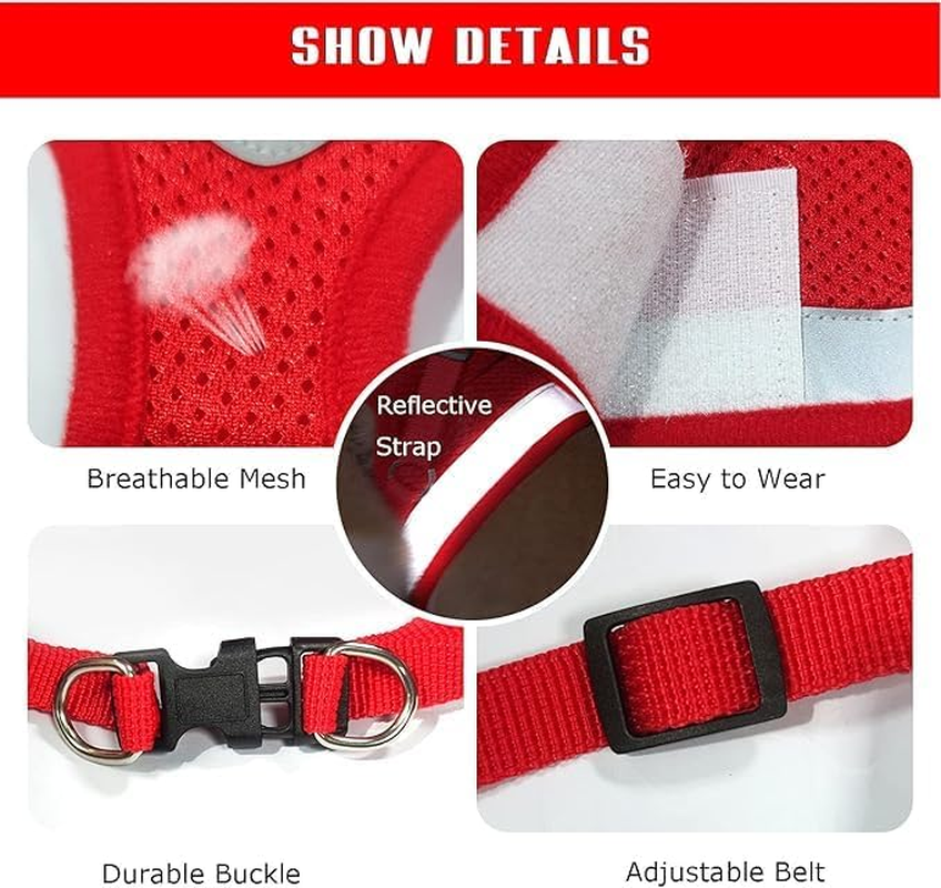 4M Pets No-Pull Reflective Mesh Dog Harness & Leash &ndash; Breathable, Step-In Vest for Small & Medium Dogs image number 4