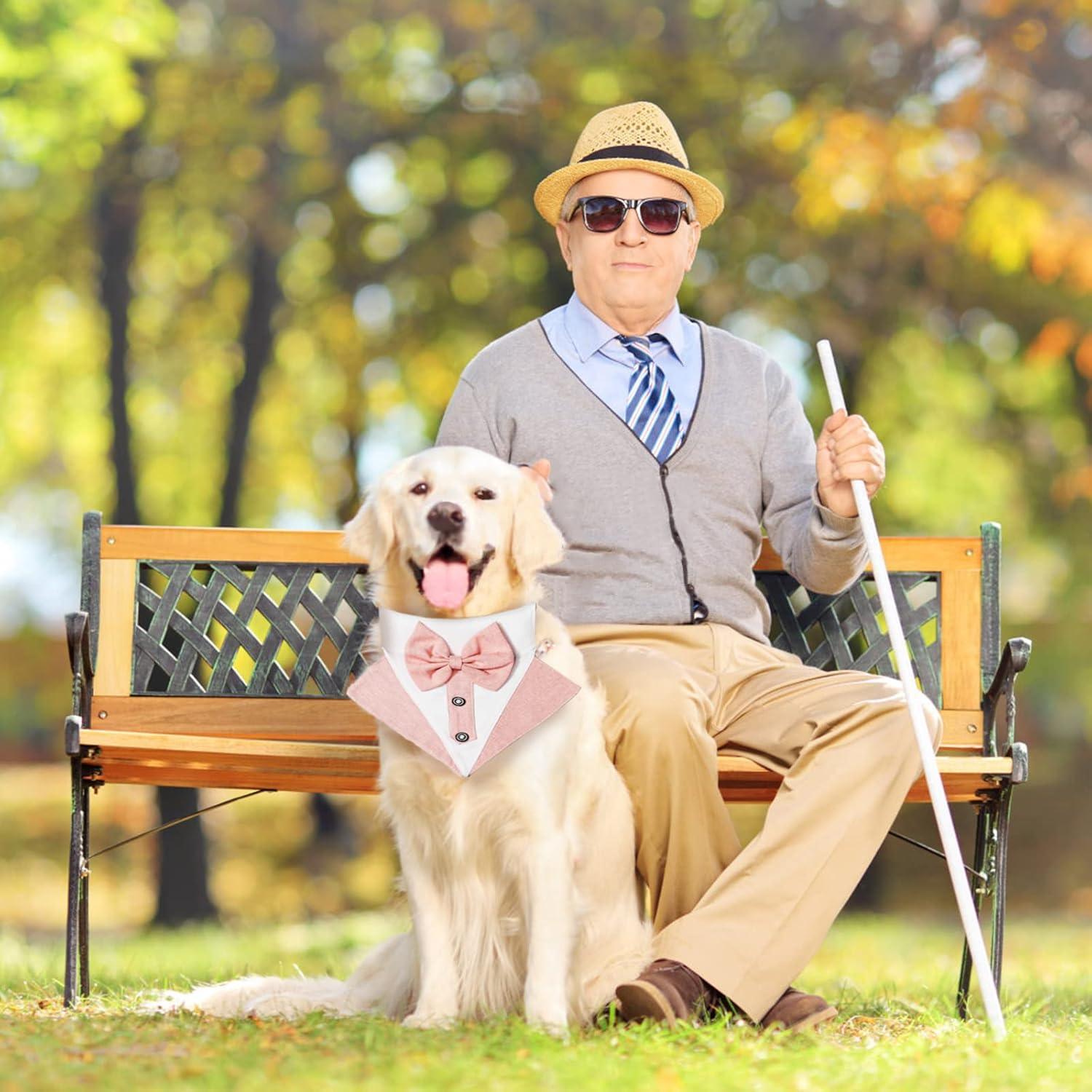 HACRAHO Formal Dog Tuxedo Bandana, 1 Piece Wedding Collar with Bowtie, Adjustable Formal Tux for Large Dogs, Pink image number 1