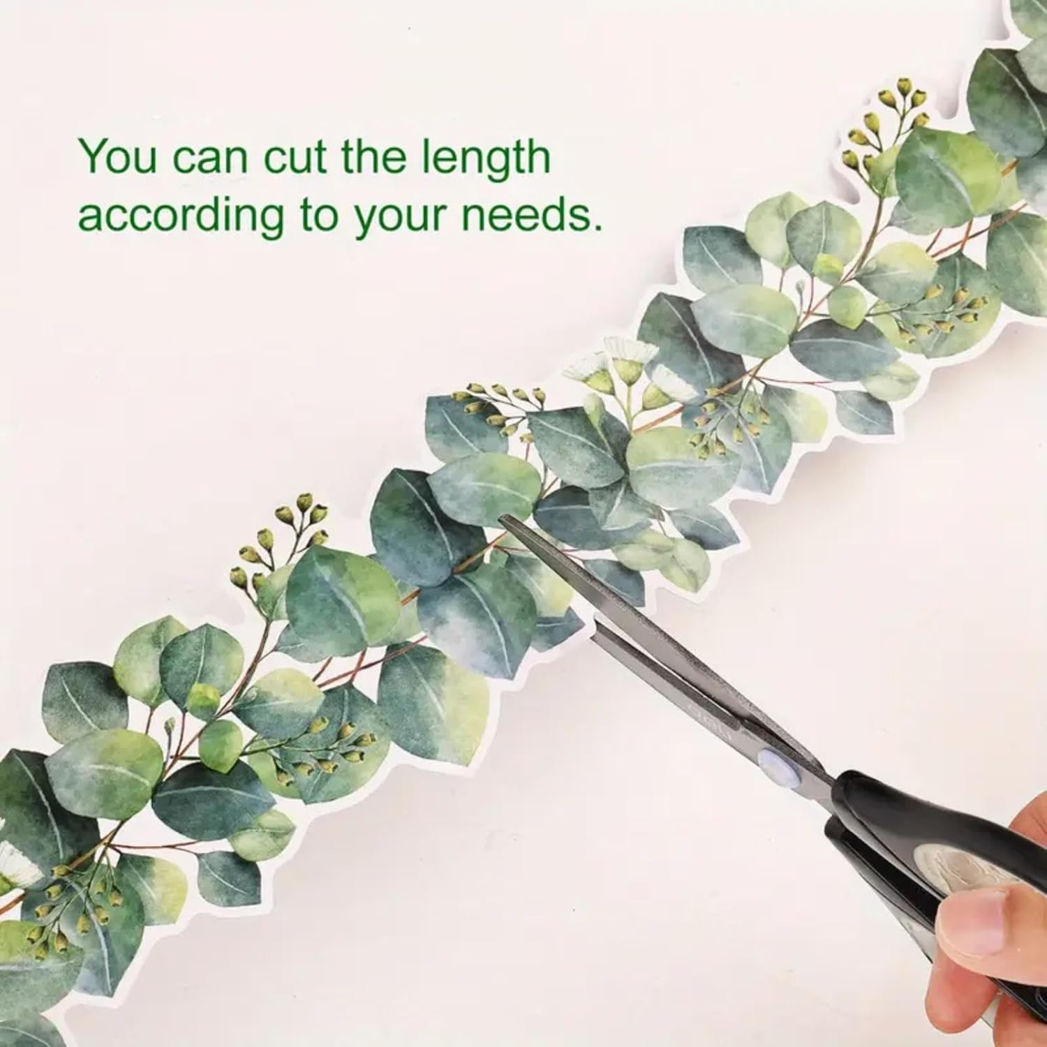 Display Borders for Classrooms,Corrugated Display Borders Roll for School Classroom Decorations,Bul/Letin Board Border,Green Display Borders Classroom Decoration,Eucalyptus Border Bul/Letin Board image number 5