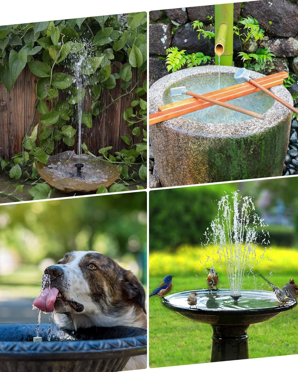 Biling Solar Water Fountain for Bird Bath, 3.5W Solar Water Pump Outdoor with 10Ft Cable, 4Ft Tubing, Solar Pond Pump for Birdbath, Garden Small Ponds (Need Direct Sunlight) image number 4
