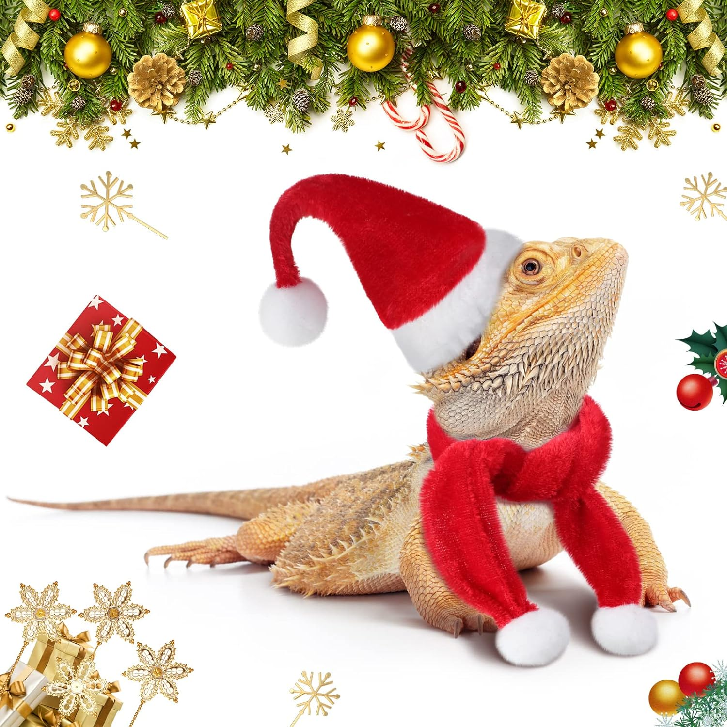 7 Piece Christmas Bearded Dragon Costume Set - Santa Hat, Scarf, Leash Harness - Xmas Lizard Accessories for Reptile Cosplay Photo Prop, Red image number 4