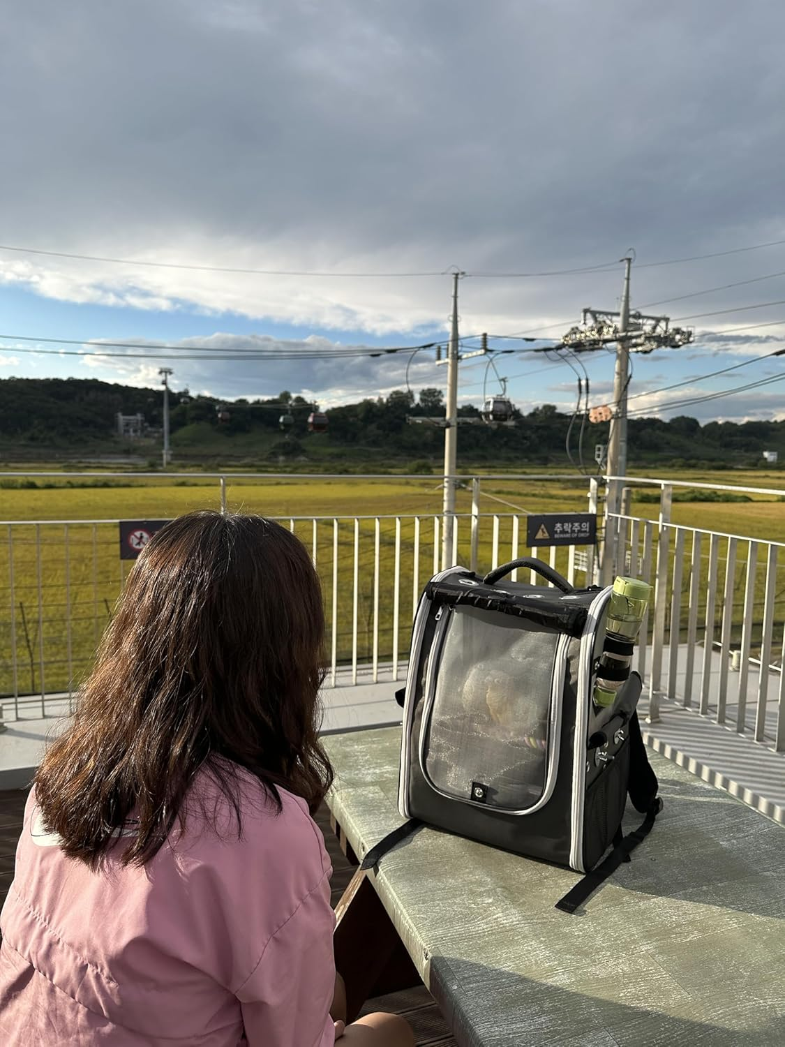 Birds Day Bird Carrier Backpack-Parrot Travel Cage with 2PCS Perch and Food Bowl, Stainless Steel Tray (Charcoal Gray, Small to Medium Birds) image number 5