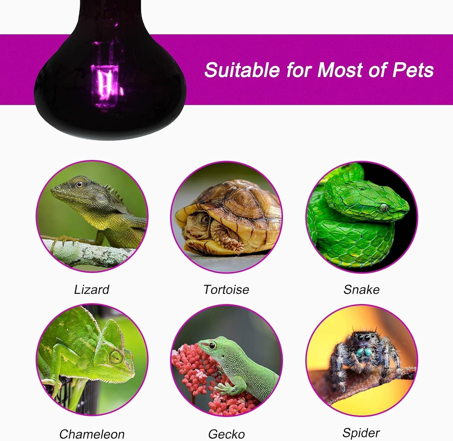 100W Infrared Heat Lamp Bulb, UVA Night Heat Bulb, Moonlight Light Glass Heating Lamps Bulbs, for Lizard Snake Chameleon Bearded Dragon Aquarium Reptile & Amphibian image number 5