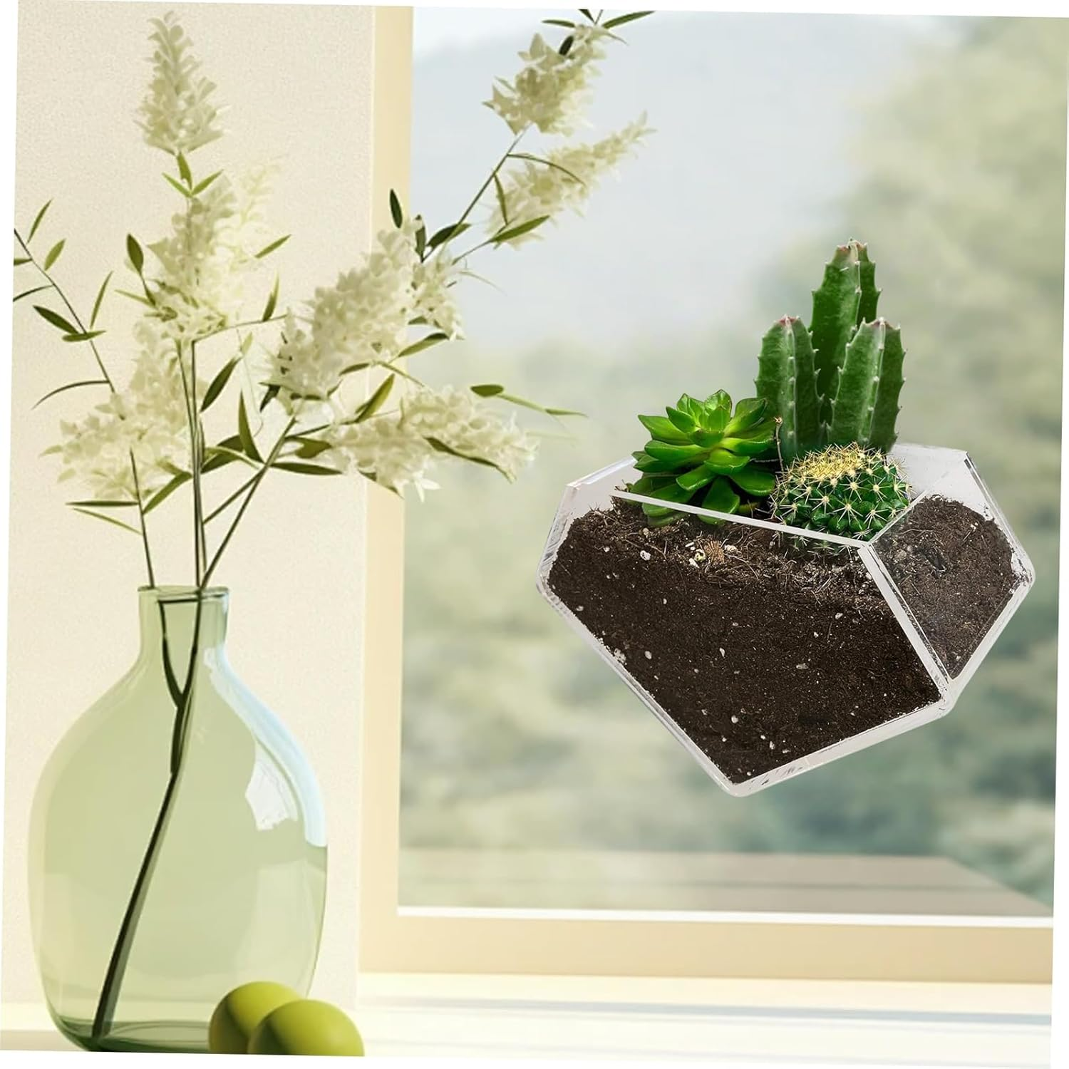 Acrylic Window Planter - Herb Garden - Ideal for Home Gardening Transparent Suction Cup Pot for Succulents, Herbs, and Indoor Gardens