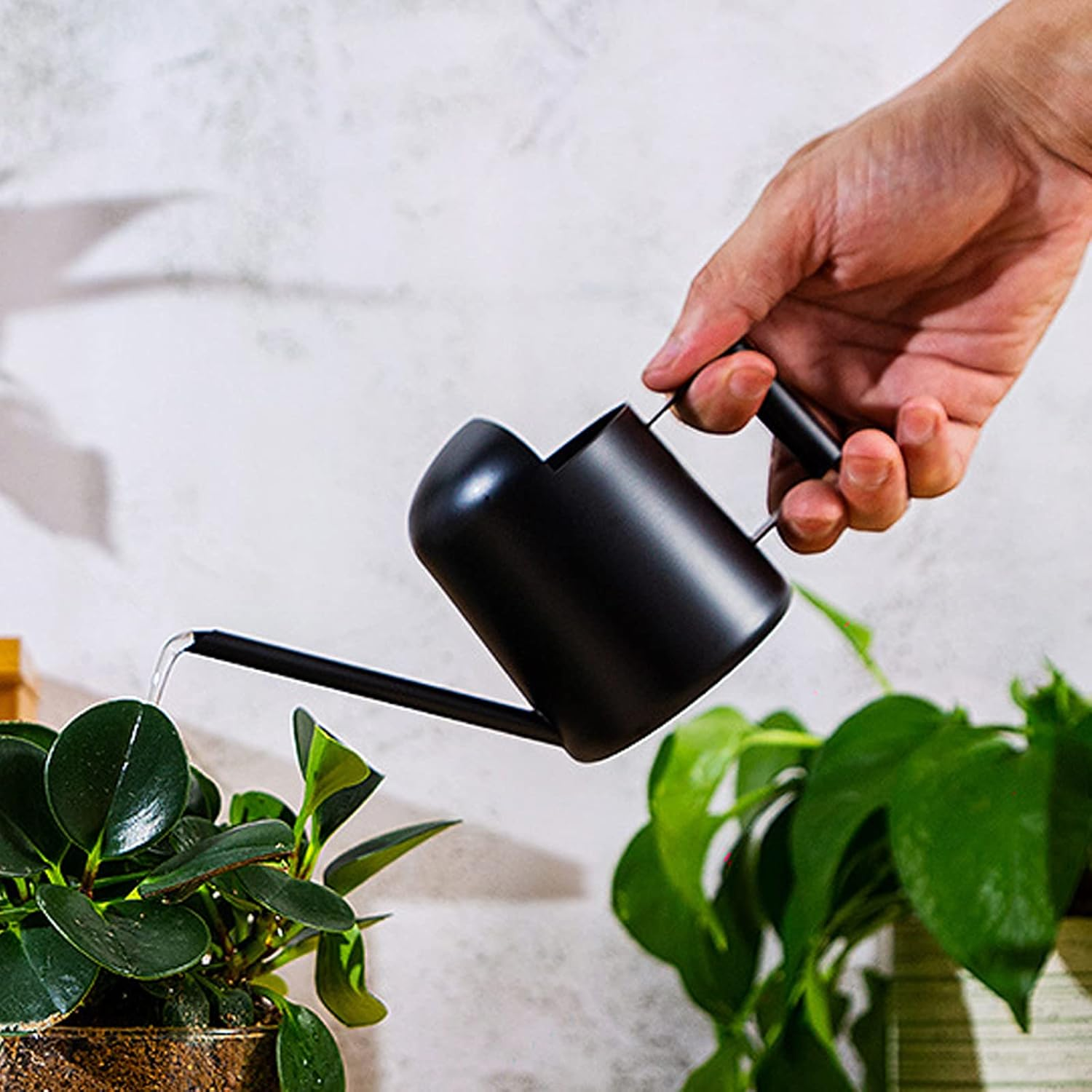 Mini Watering Can, 10Oz/300Ml Stainless Steel Long Spout Sprinkling Pot Small Watering Can for Plants, Garden Watering Pot for Indoor Outdoor Flowers, Succulents (Black) - Green image number 6
